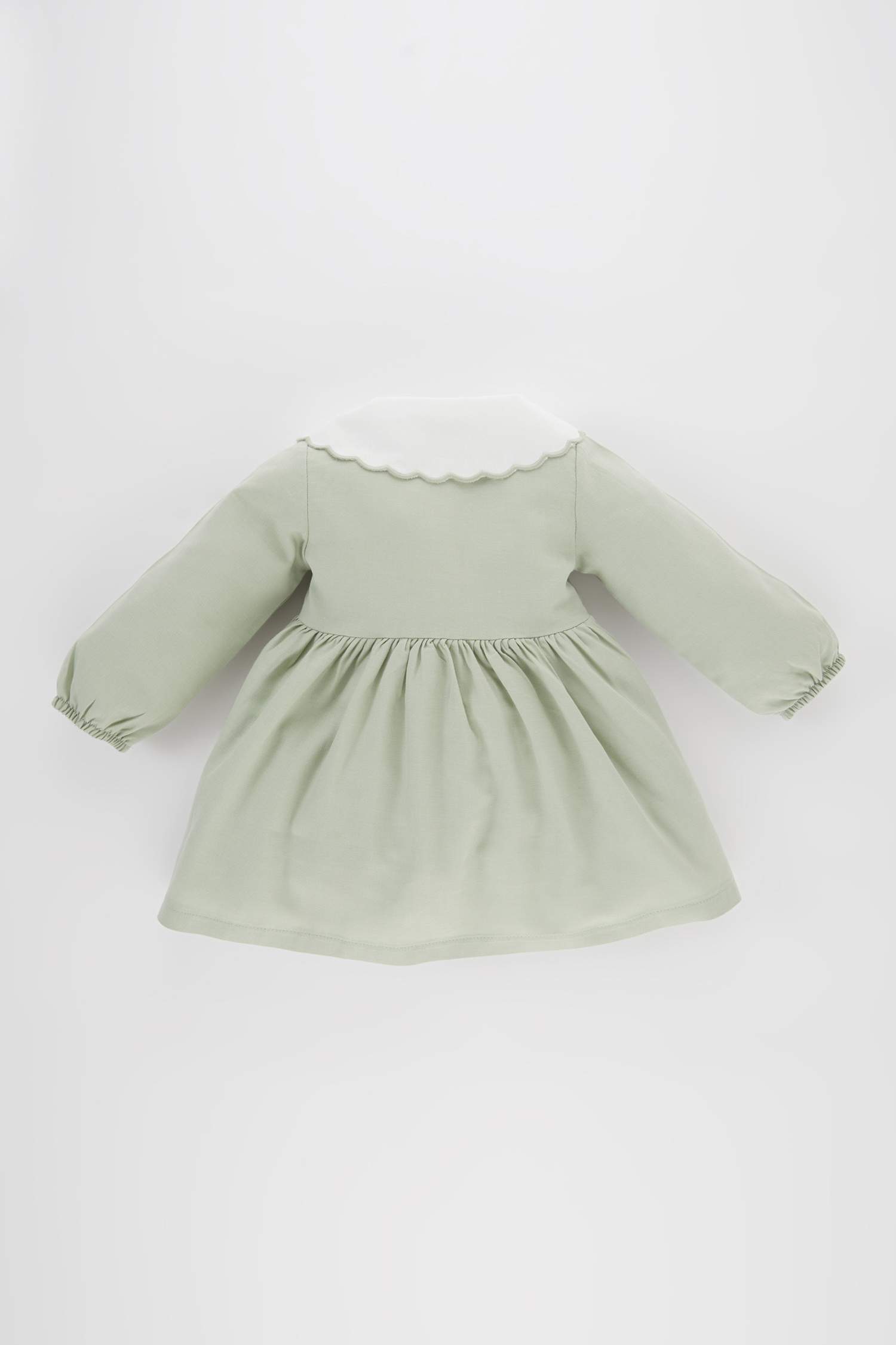 فستان فلورال قصة عادية كم طويل بياقة كبيرة