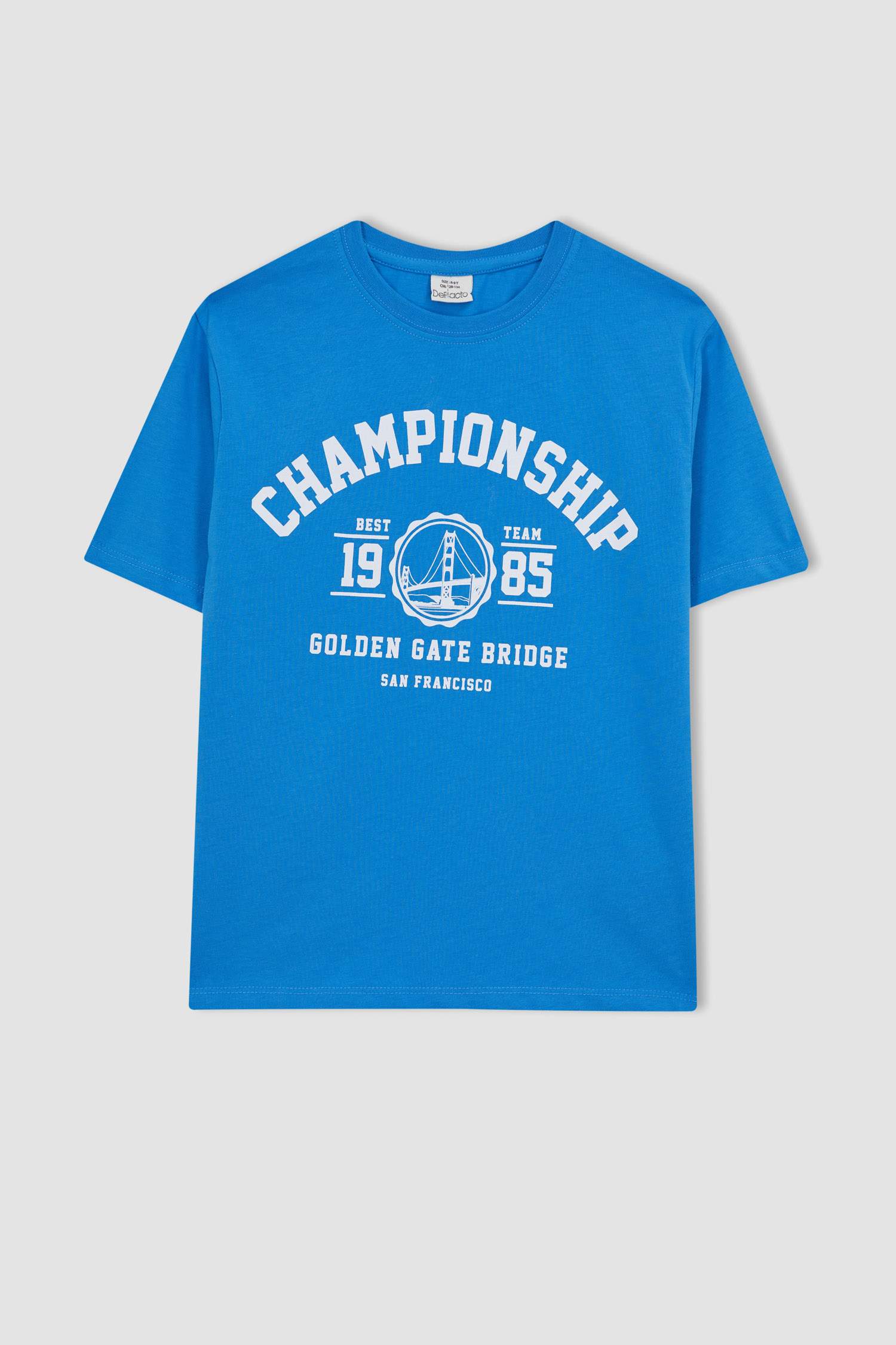 Boy Crew Neck Printed Short Sleeve T-Shirt