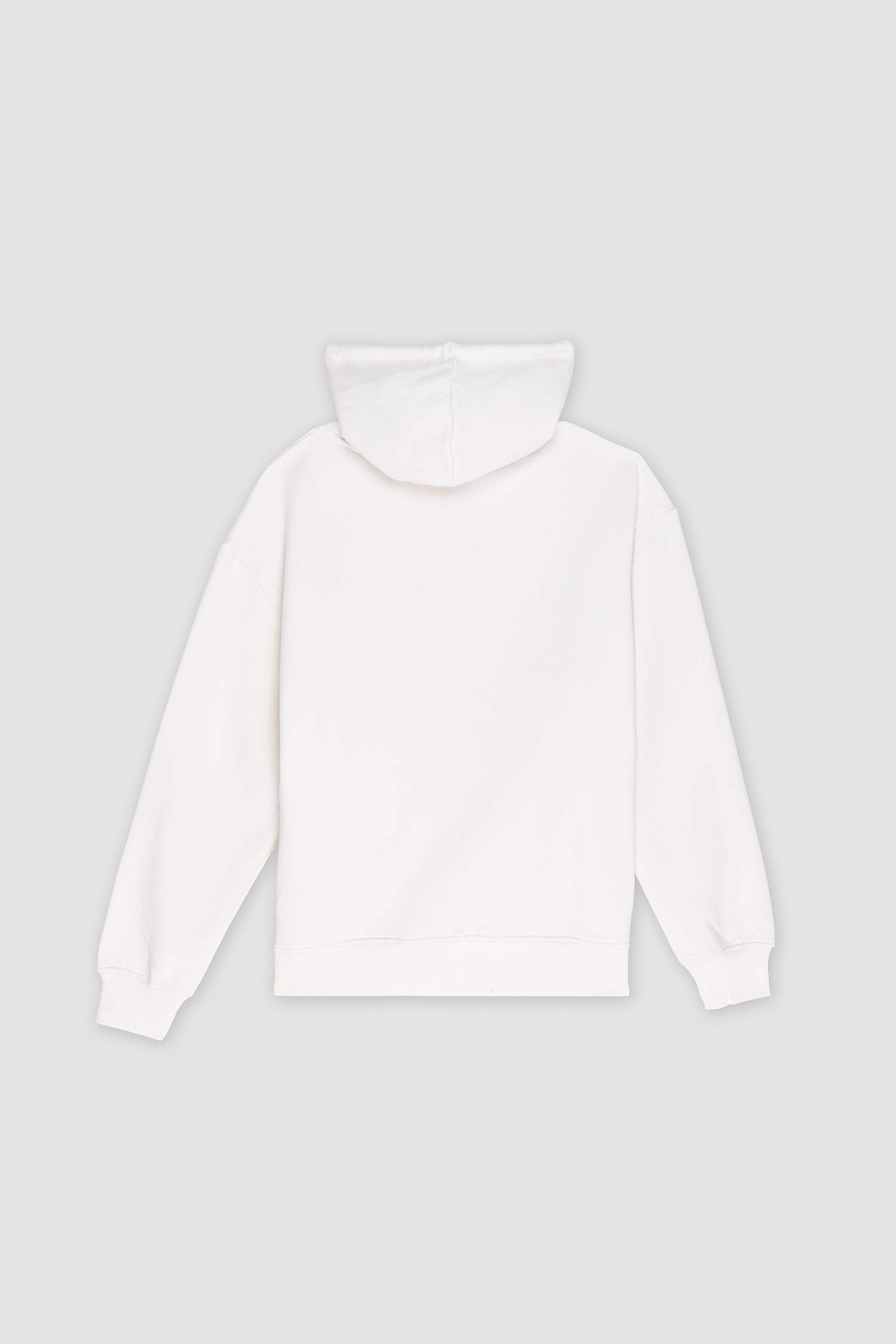 Relax Fit Hooded Thick Fabric Sweatshirt