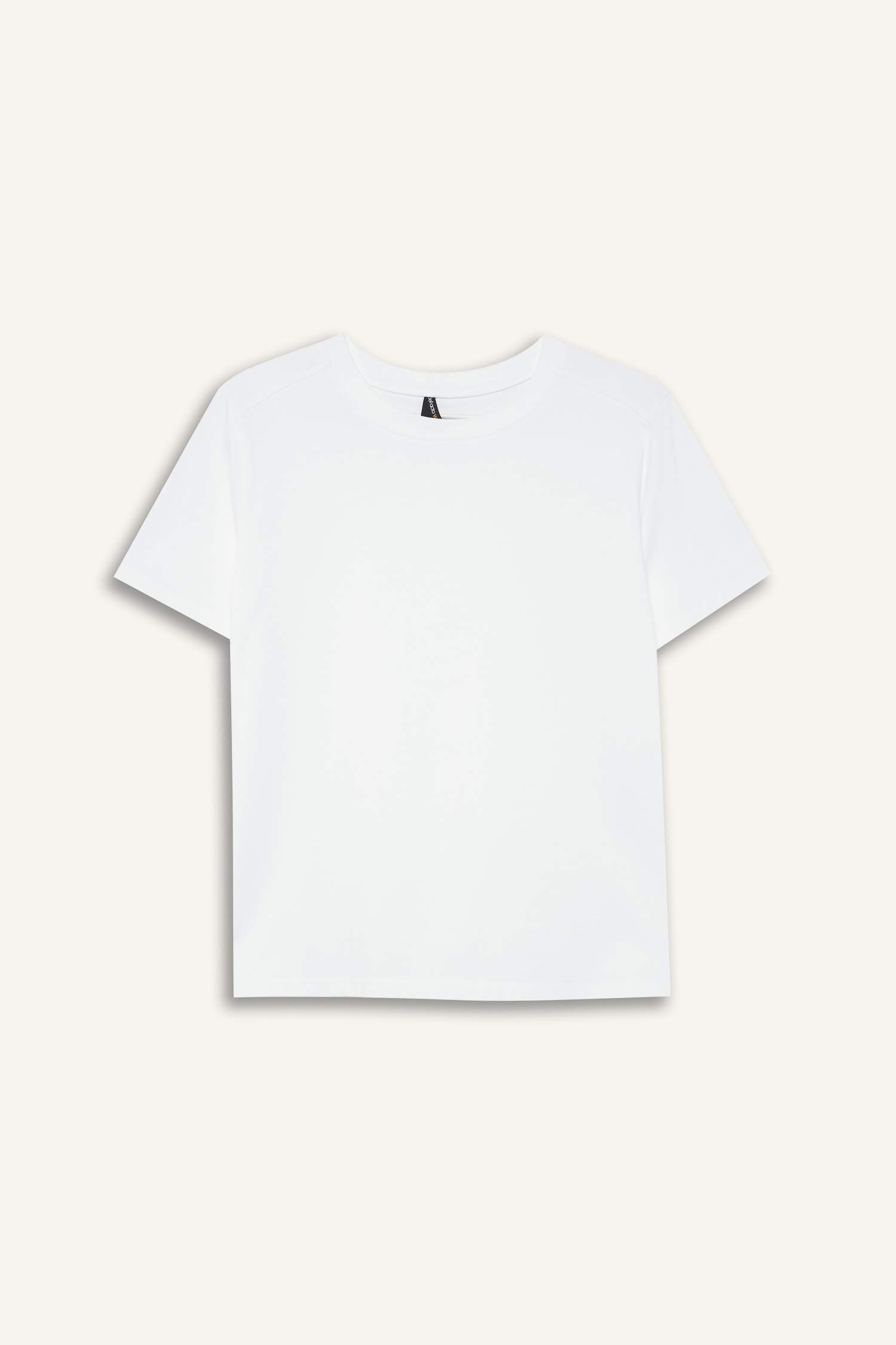 Regular Fit Crew Neck Premium Basic T-Shirt
