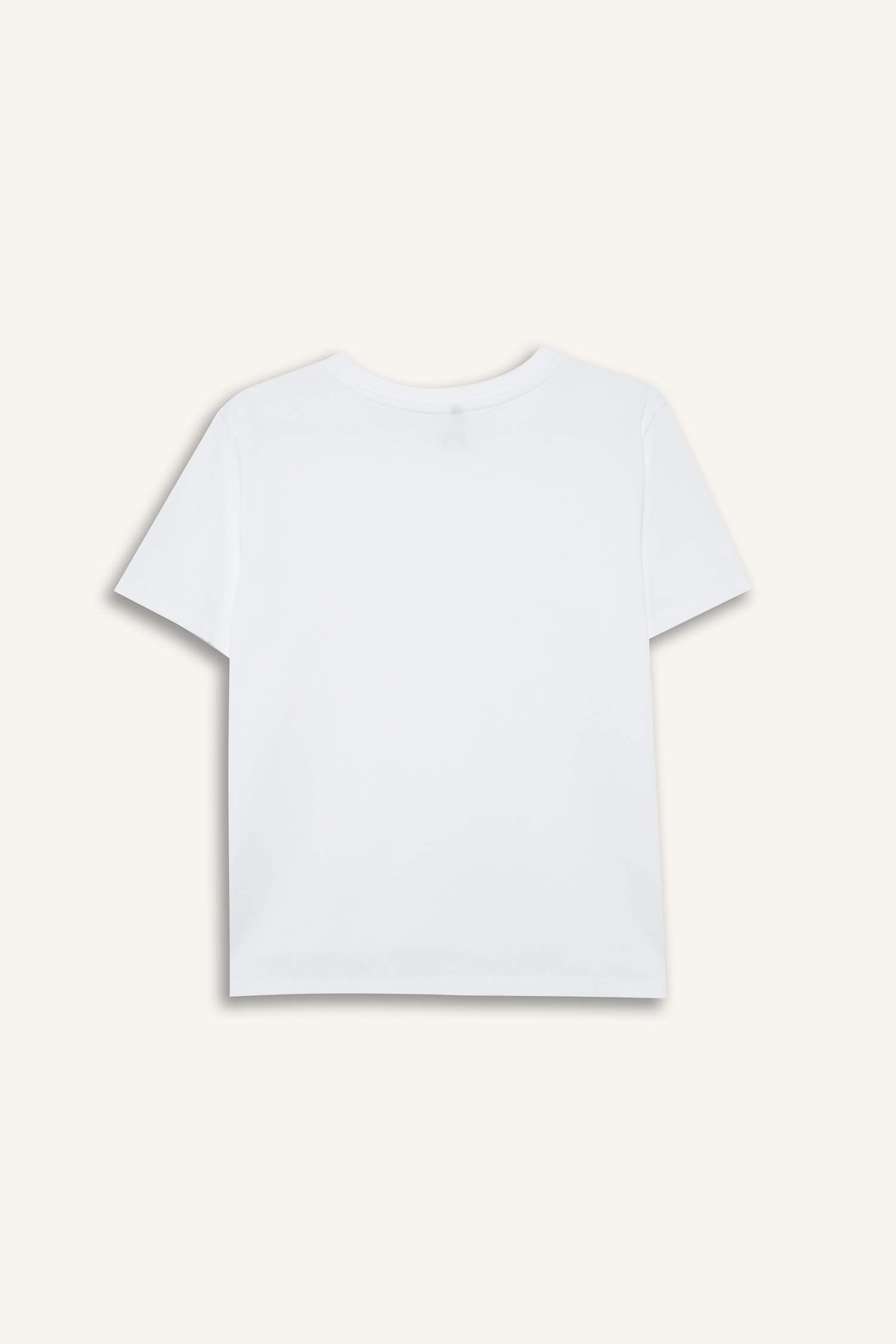 Regular Fit Crew Neck Premium Basic T-Shirt