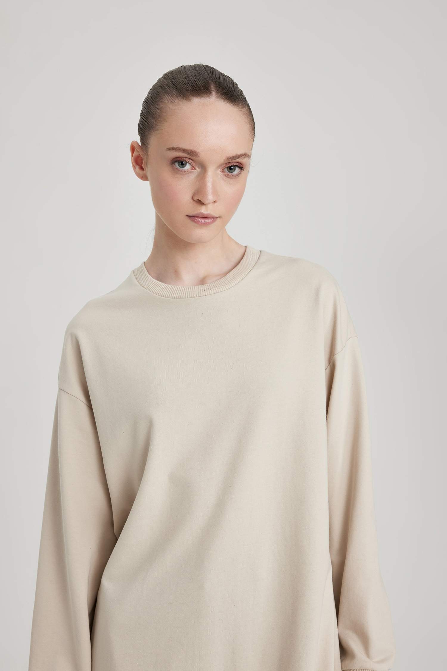 Regular Fit Crew Neck Sweatshirt Tunic