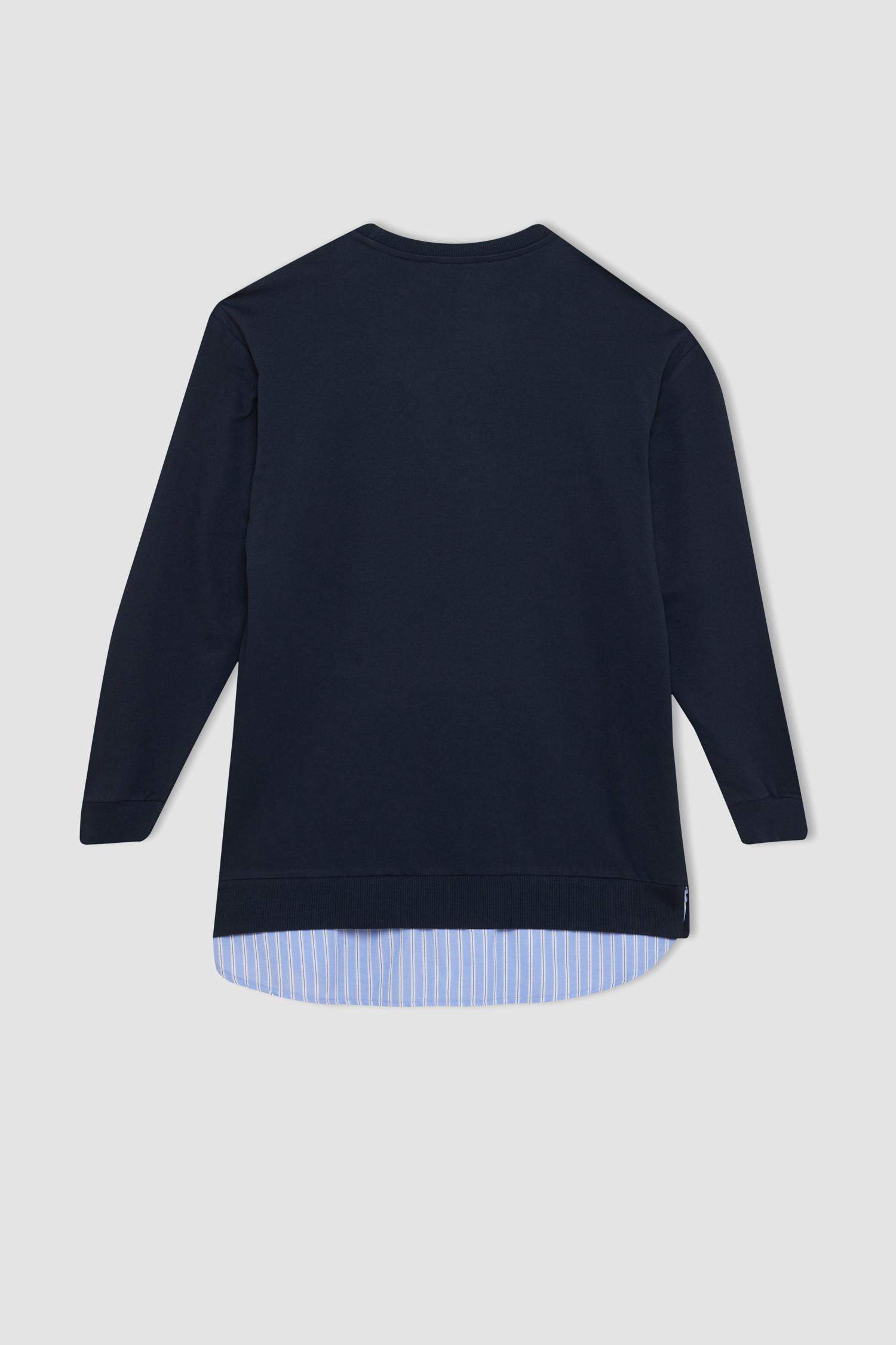 Regular Fit Crew Neck Sweatshirt Tunic