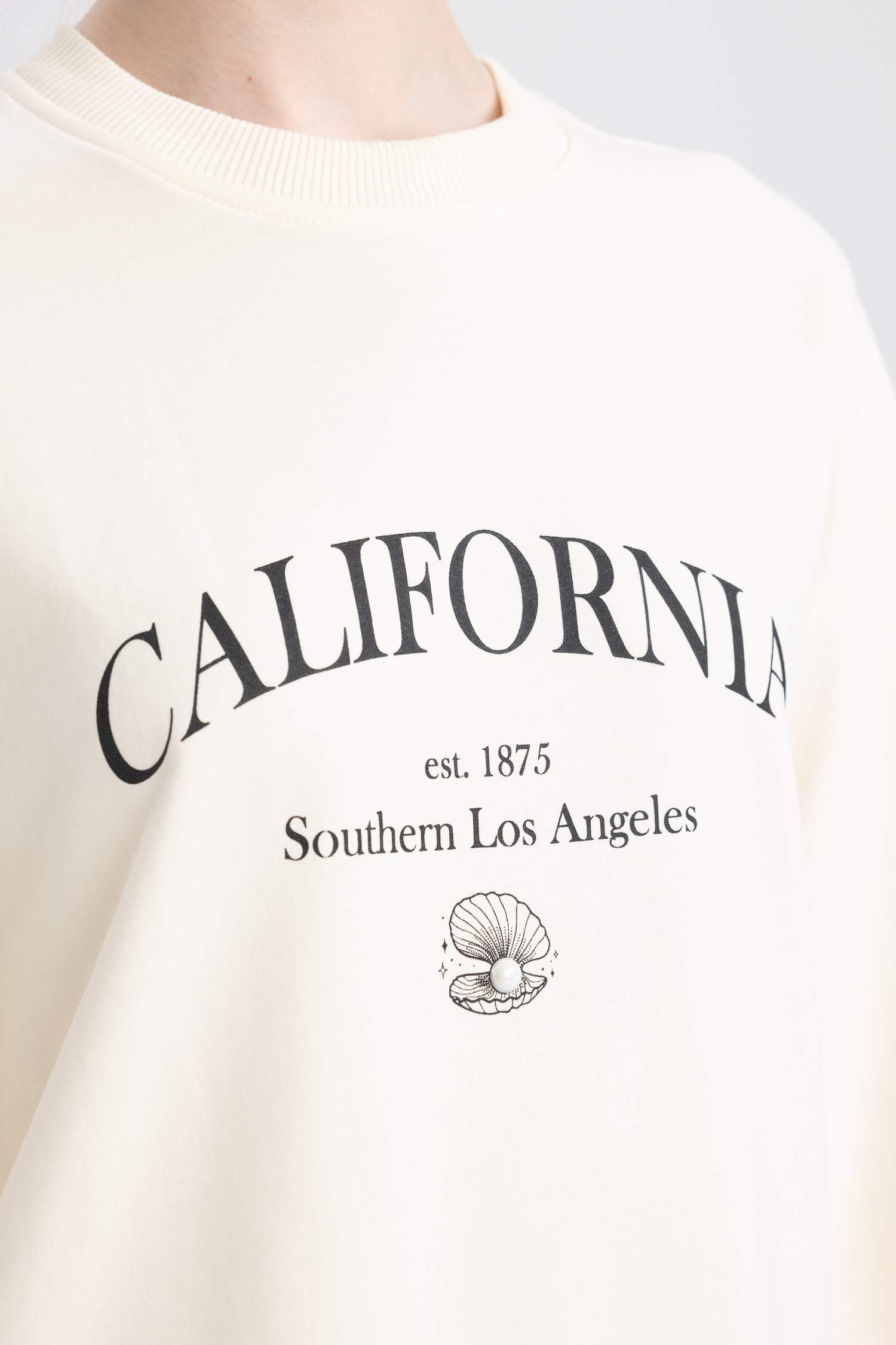 Regular Fit Bisiklet Yaka Baskılı Sweatshirt Tunik