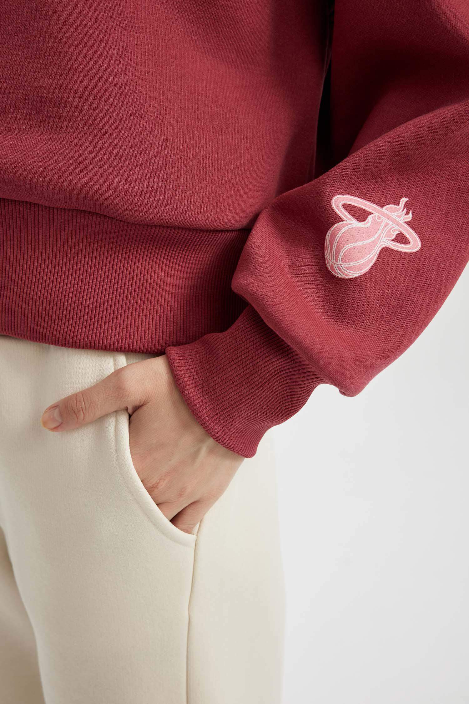 Свитшот с капюшоном NBA Miami Heat, DeFactoFit