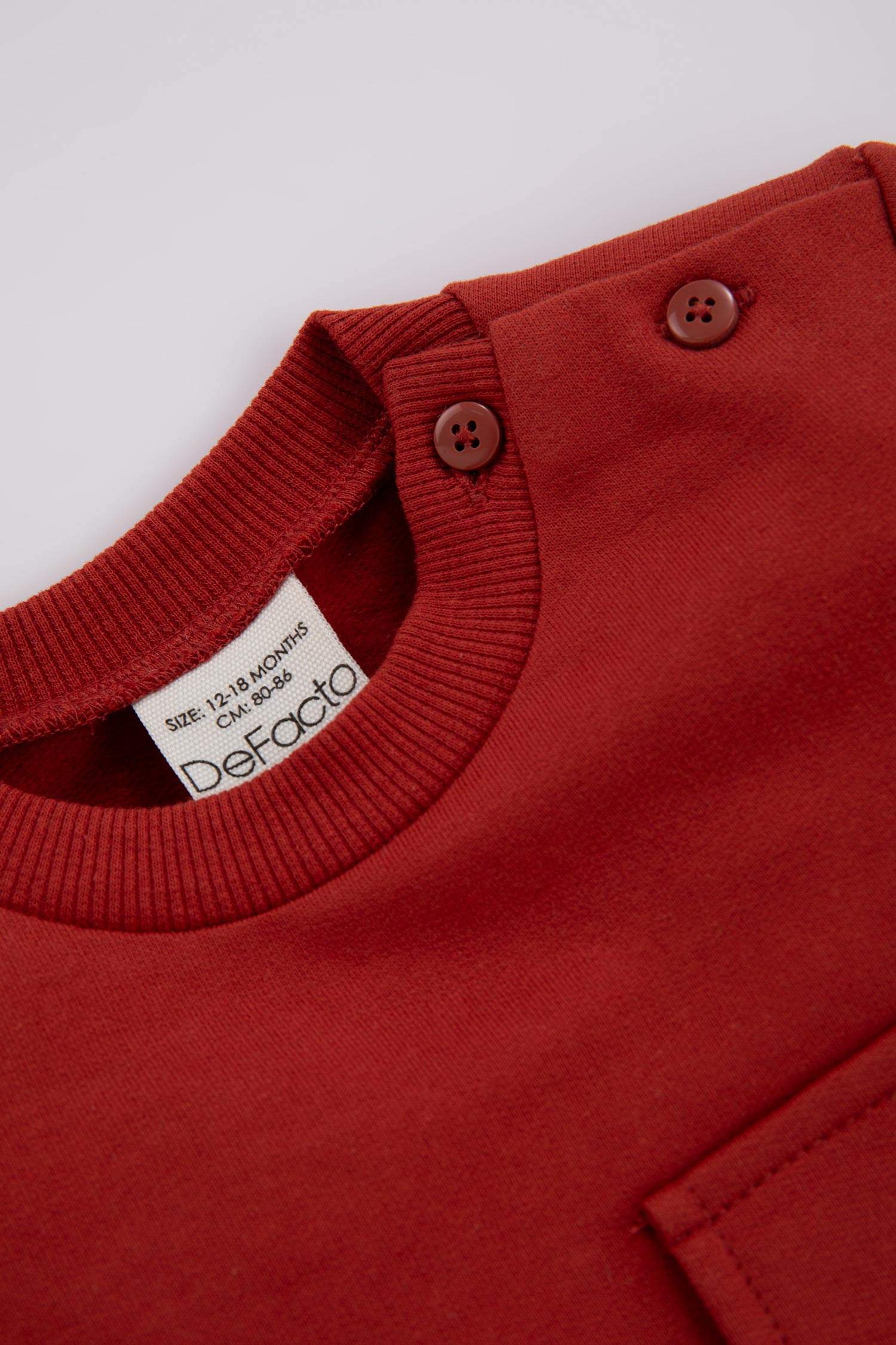 Orange Baby Boy Regular Fit Color Block Crew Neck Sweatshirt 2891245