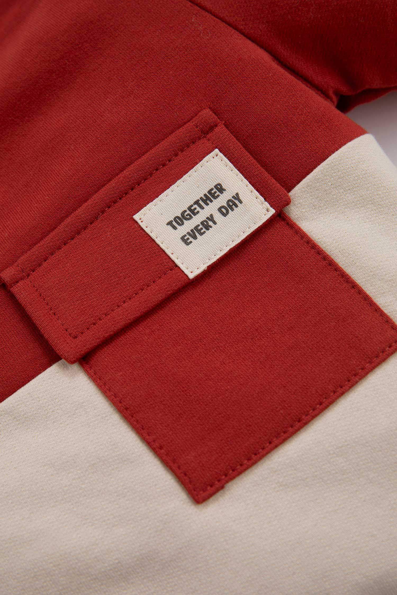 Orange Baby Boy Regular Fit Color Block Crew Neck Sweatshirt 2891245