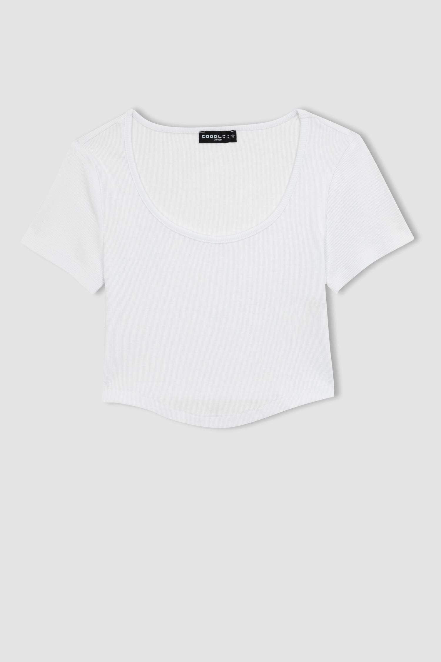 تيشيرت سليم فيت نص ردن