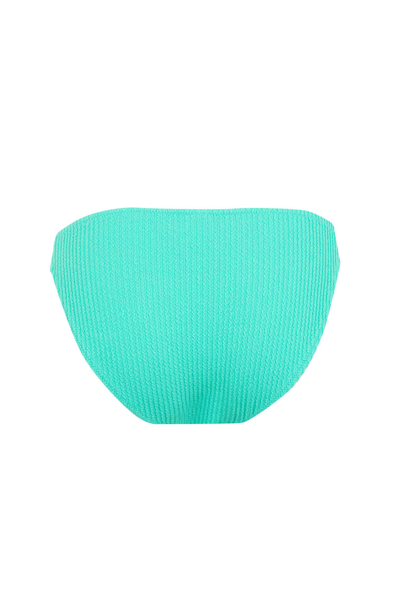 Regular Fit Bikini Bottom