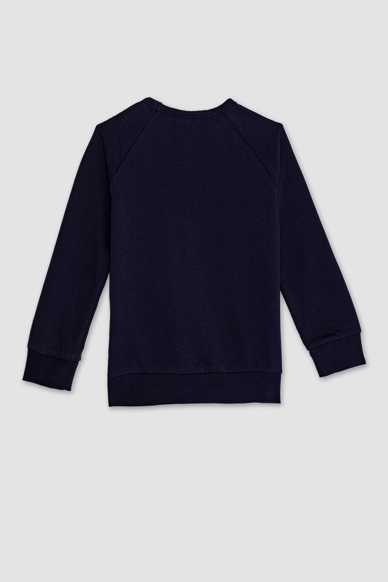 Boy New Regular Fit Crew Neck Sweatshirt