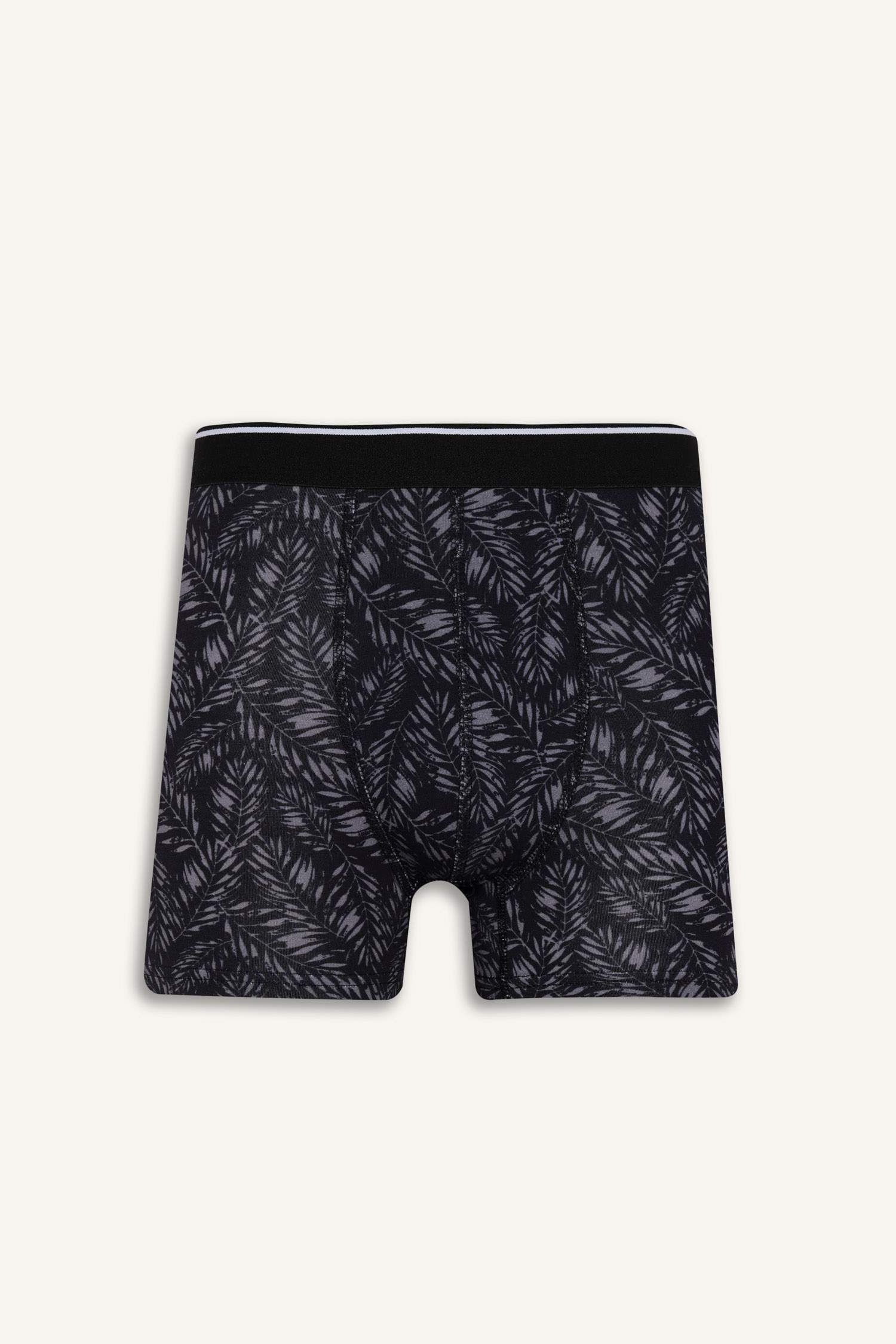 Regular Fit Printed 3 Piece Boxers