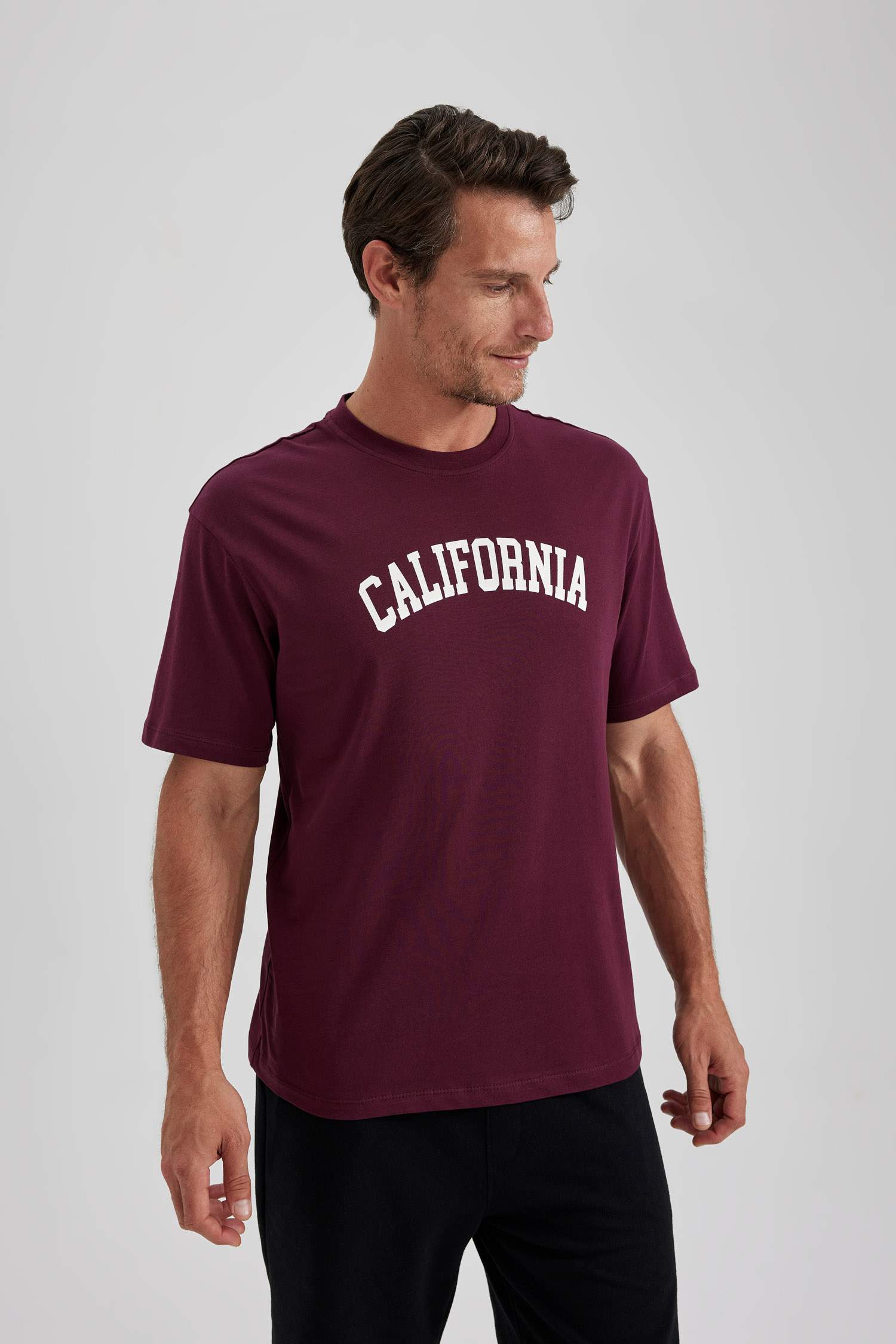 %100 Pamuk Regular Fit Bisiklet Yaka Baskılı Kısa Kollu Tişört