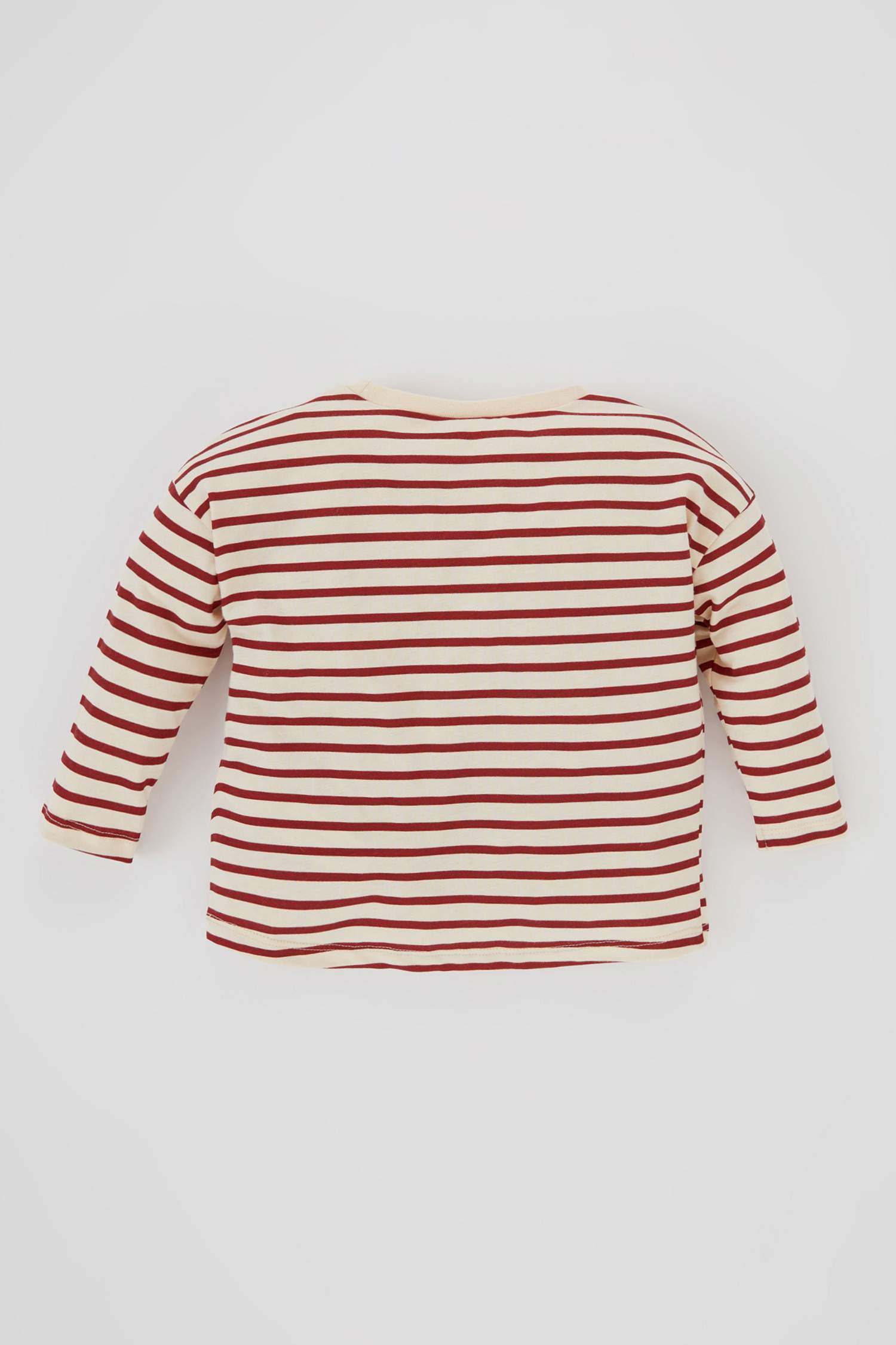 Regular Fit Striped Long Sleeve T-Shirt