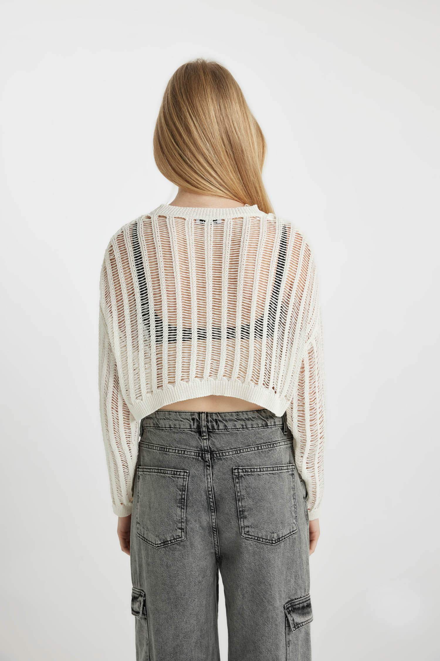 Regular Fit Crew Neck Knitted Pullover