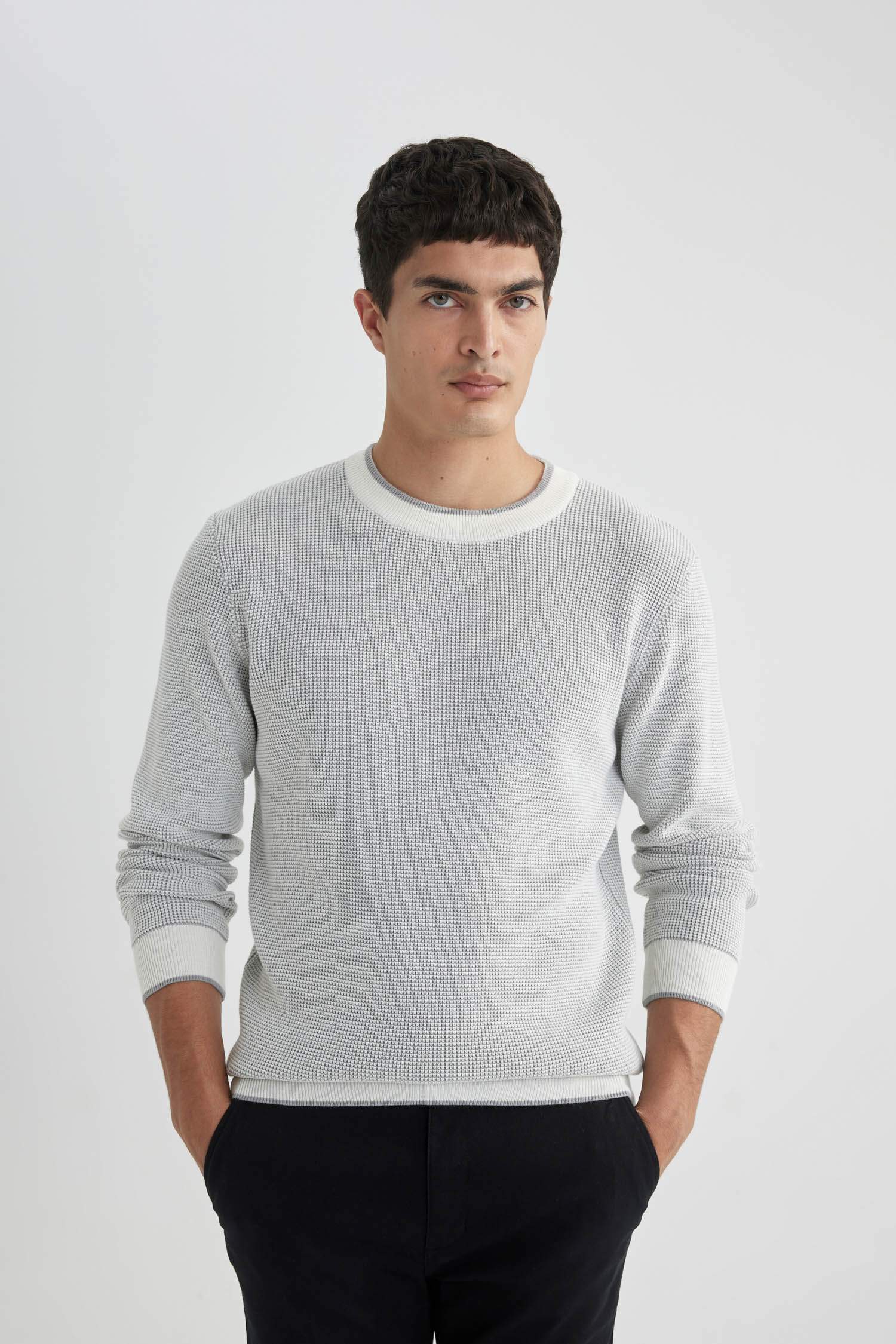 Pull en Tricot Coupe Standard Col Ras Du Cou