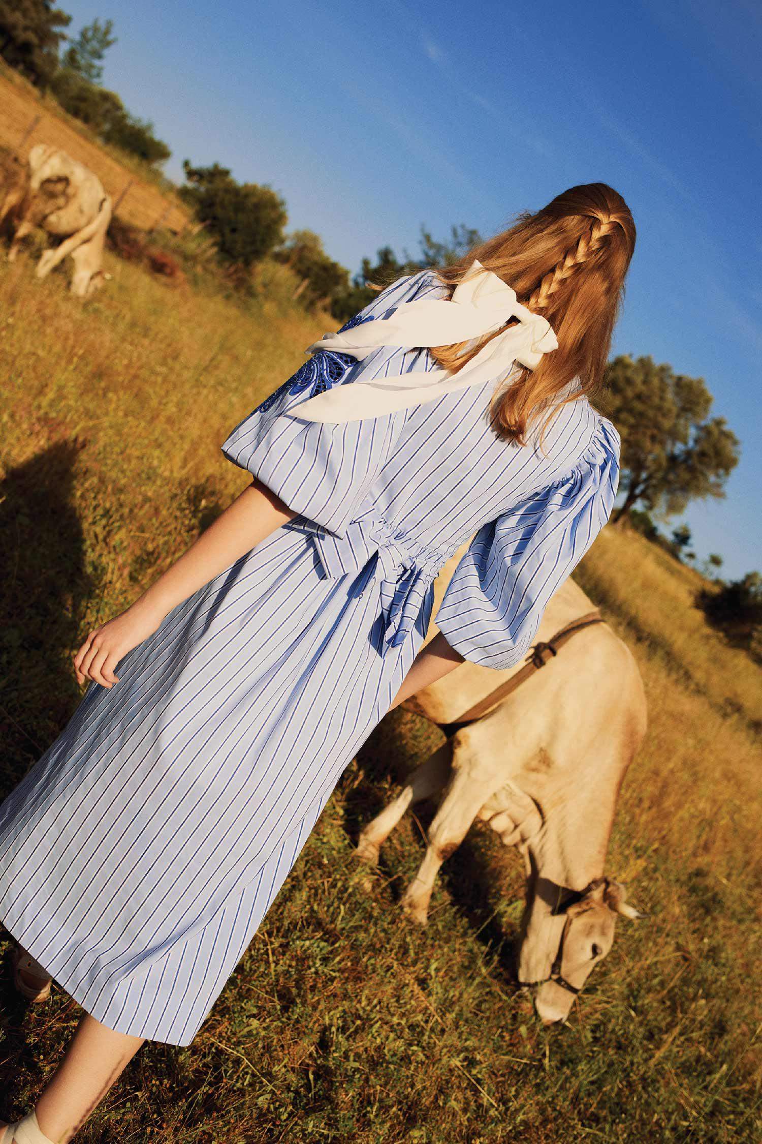 Grandad Collar Striped Poplin Balloon Sleeves Maxi Dress