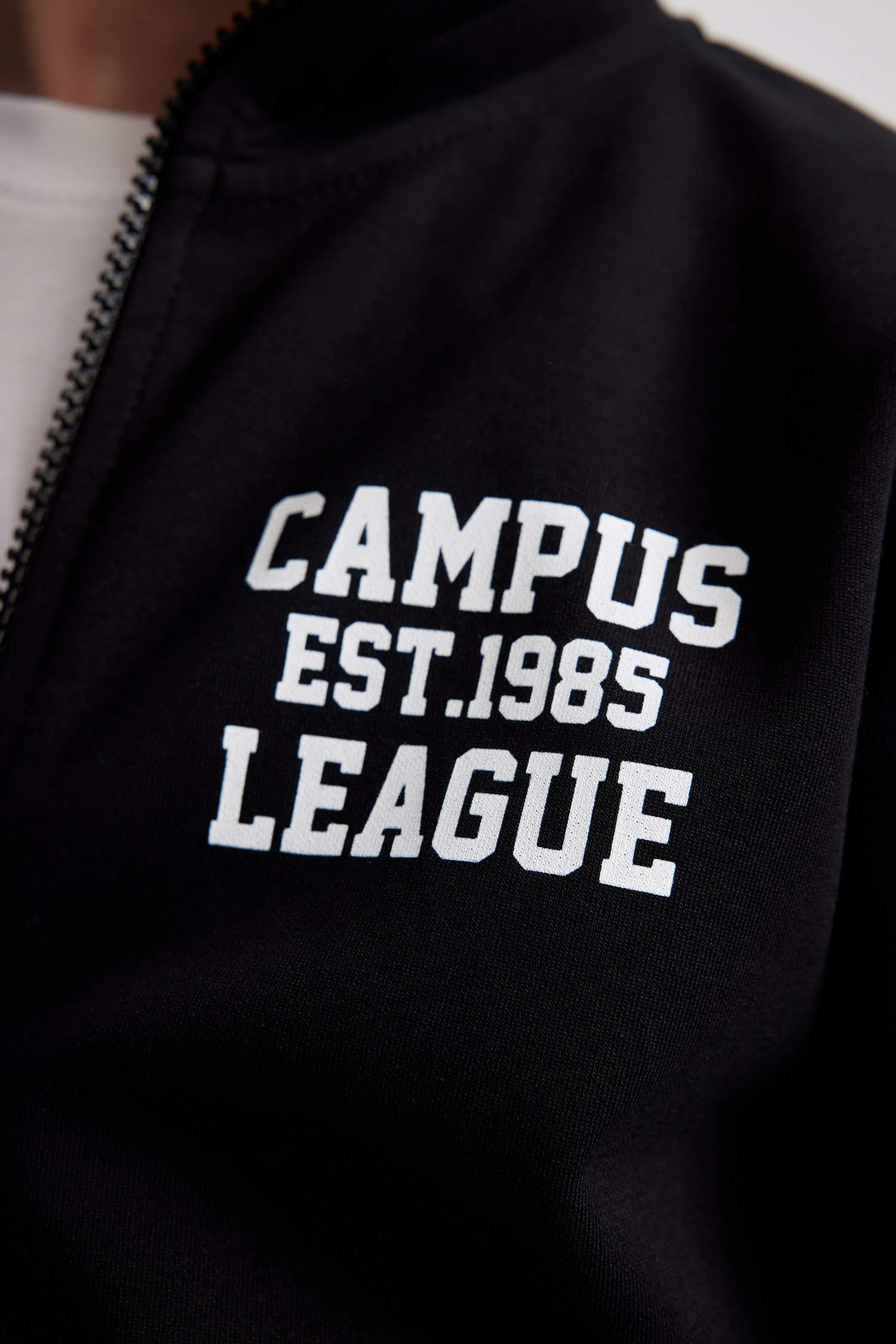 Boy Stand Collar Printed Zippered Sweatshirt