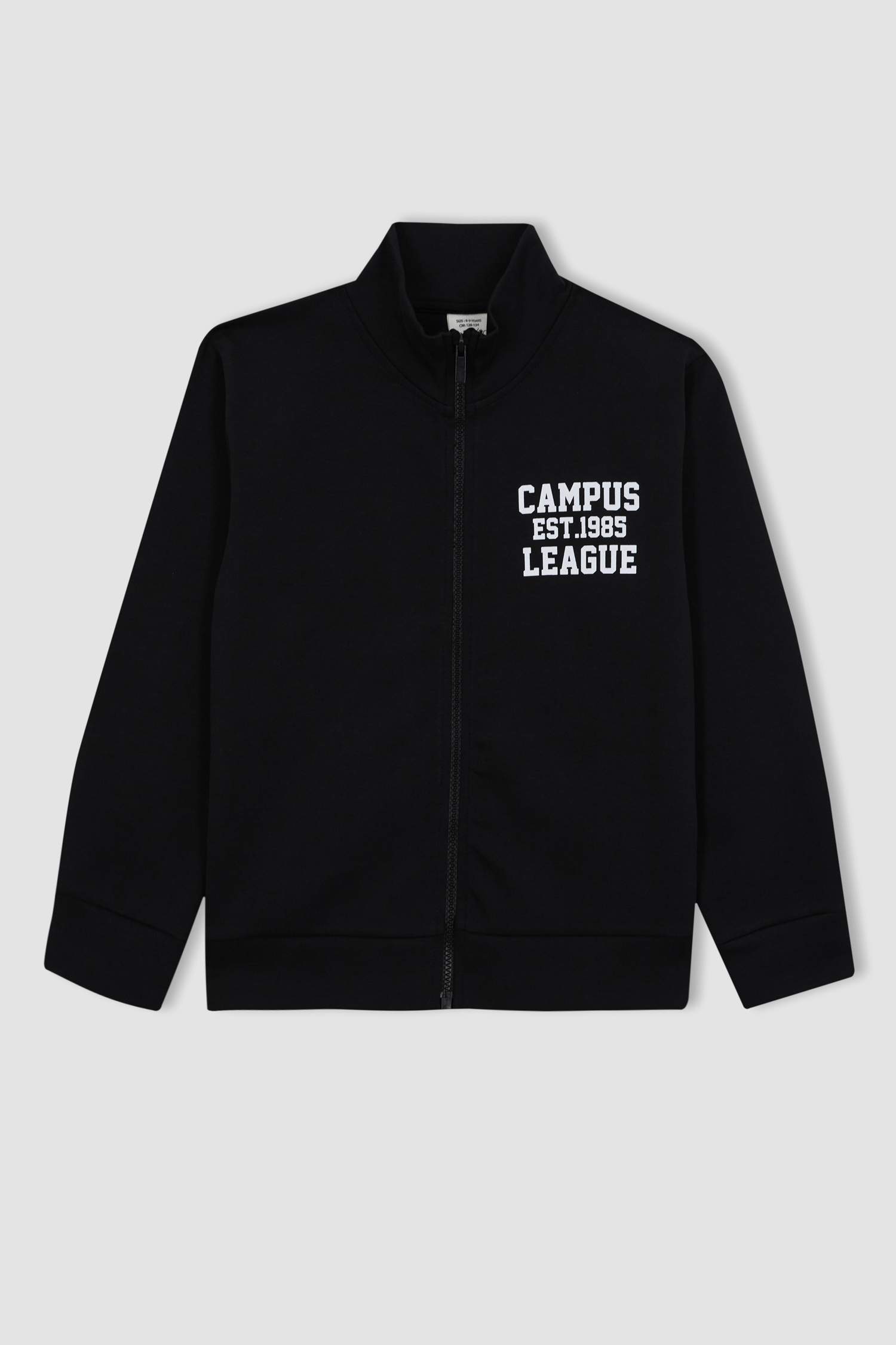 Boy Stand Collar Printed Zippered Sweatshirt