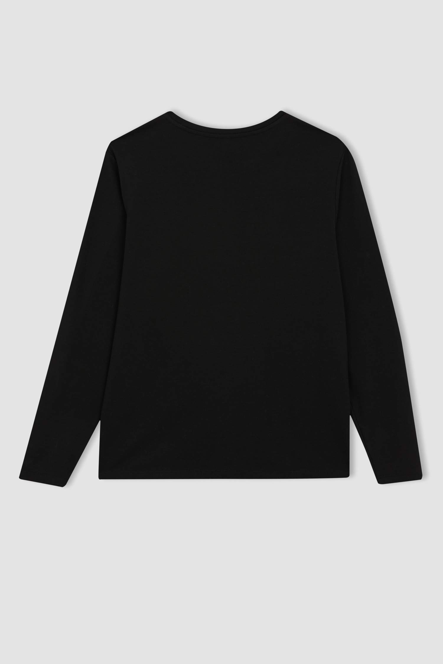 Regular Fit Crew Neck Long Sleeve T-Shirt