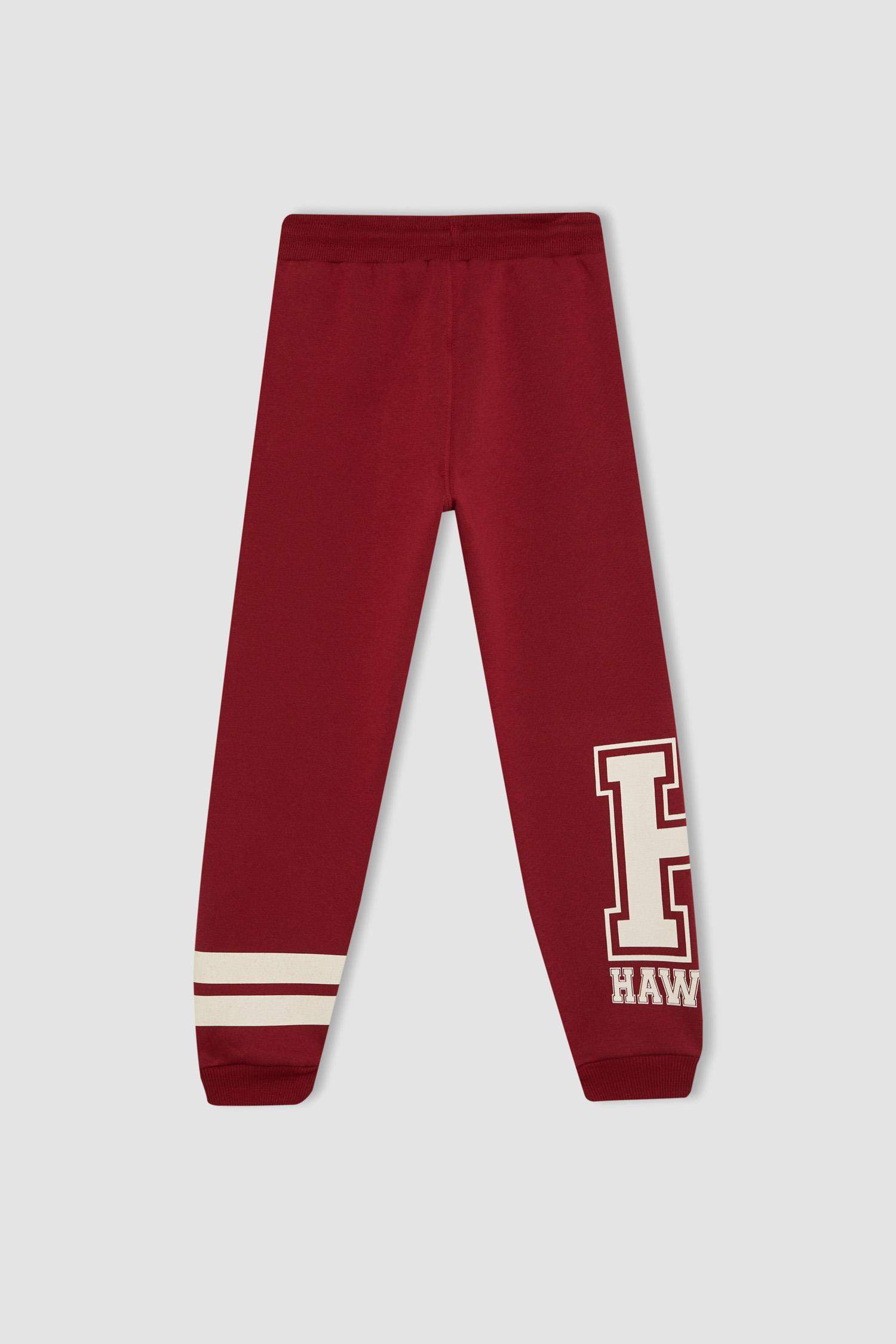 Boy Printed Thick Sweatpants