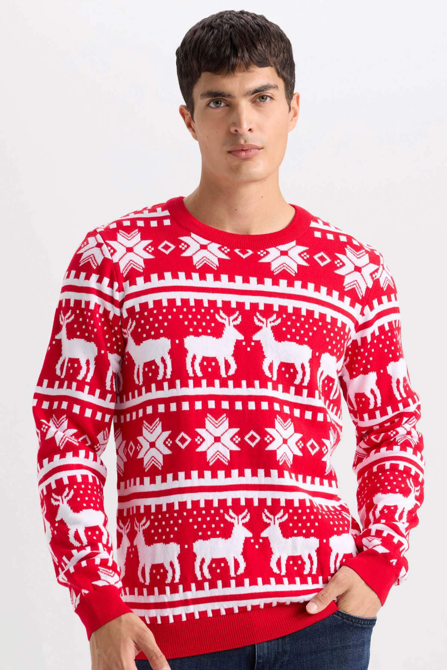 Standard Fit Crew Neck Knitted Pullover