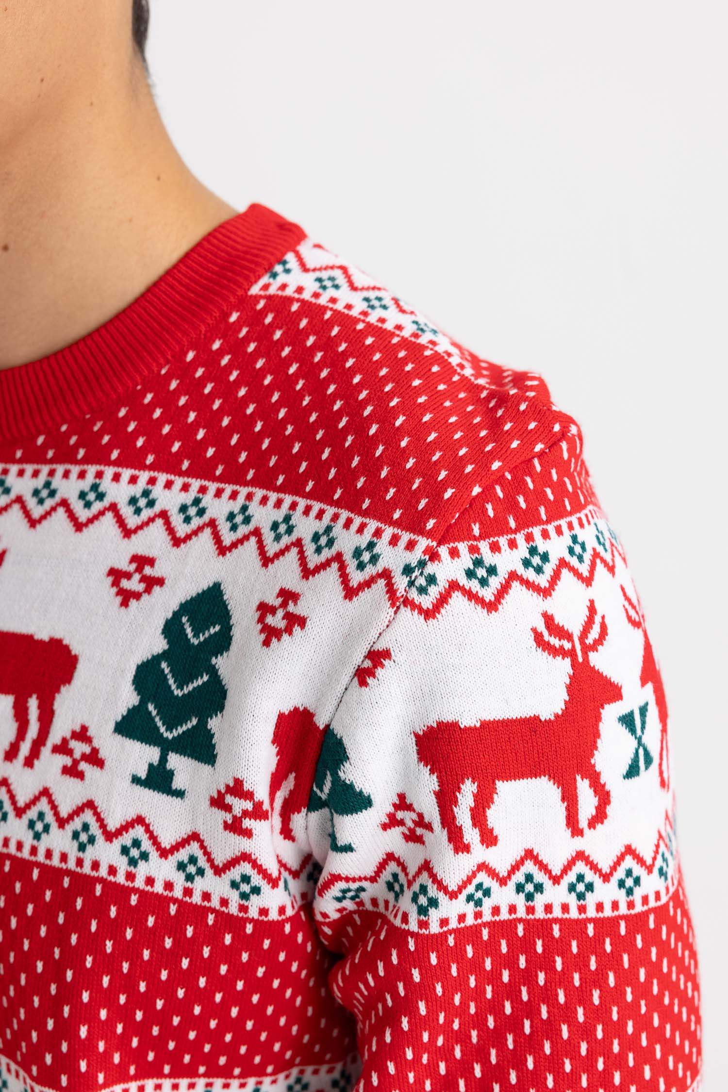 New Year Themed Standard Fit Crew Neck Knitted Pullover