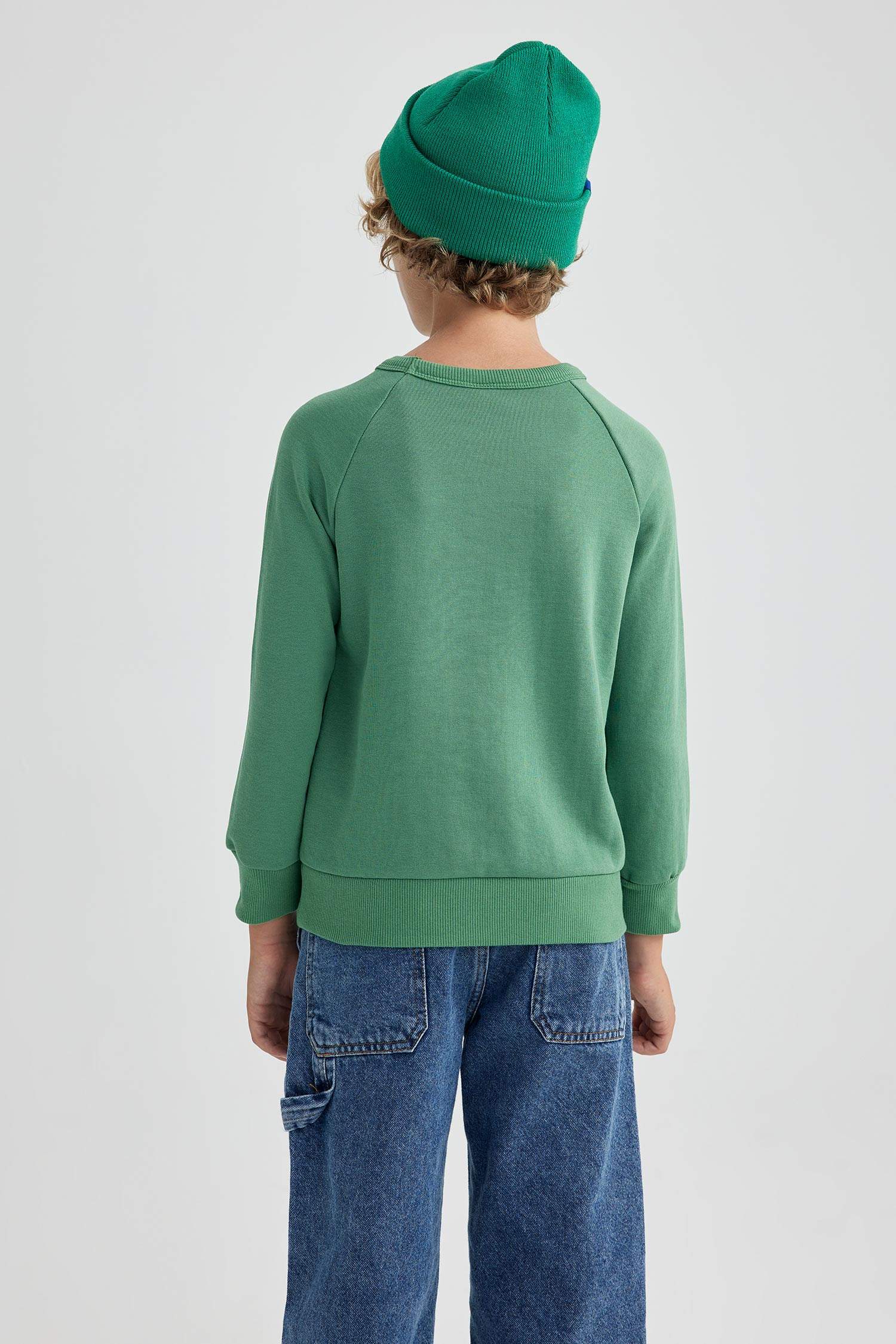 Regular Fit Crew Neck Sweatshirt