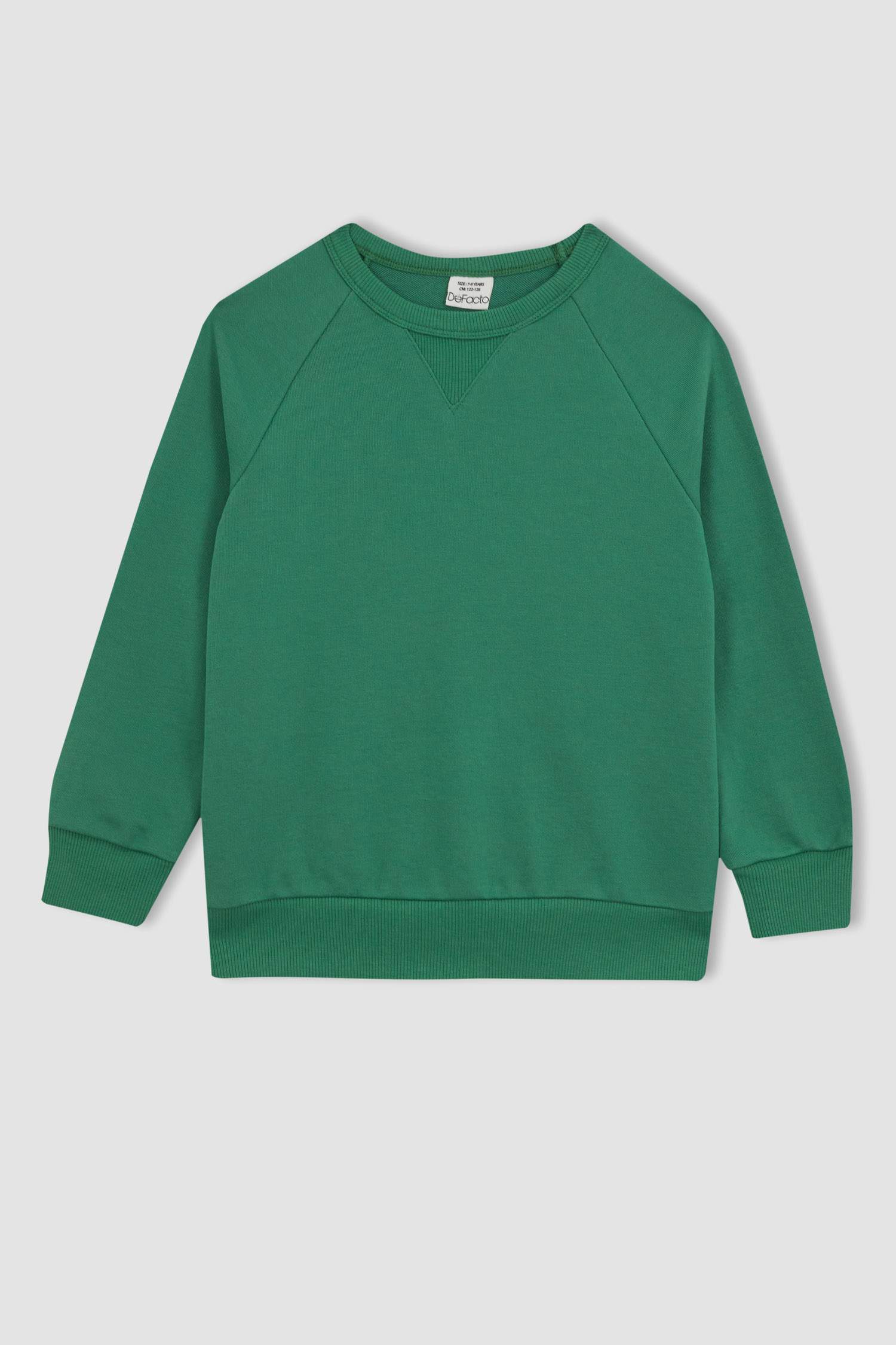Regular Fit Crew Neck Sweatshirt