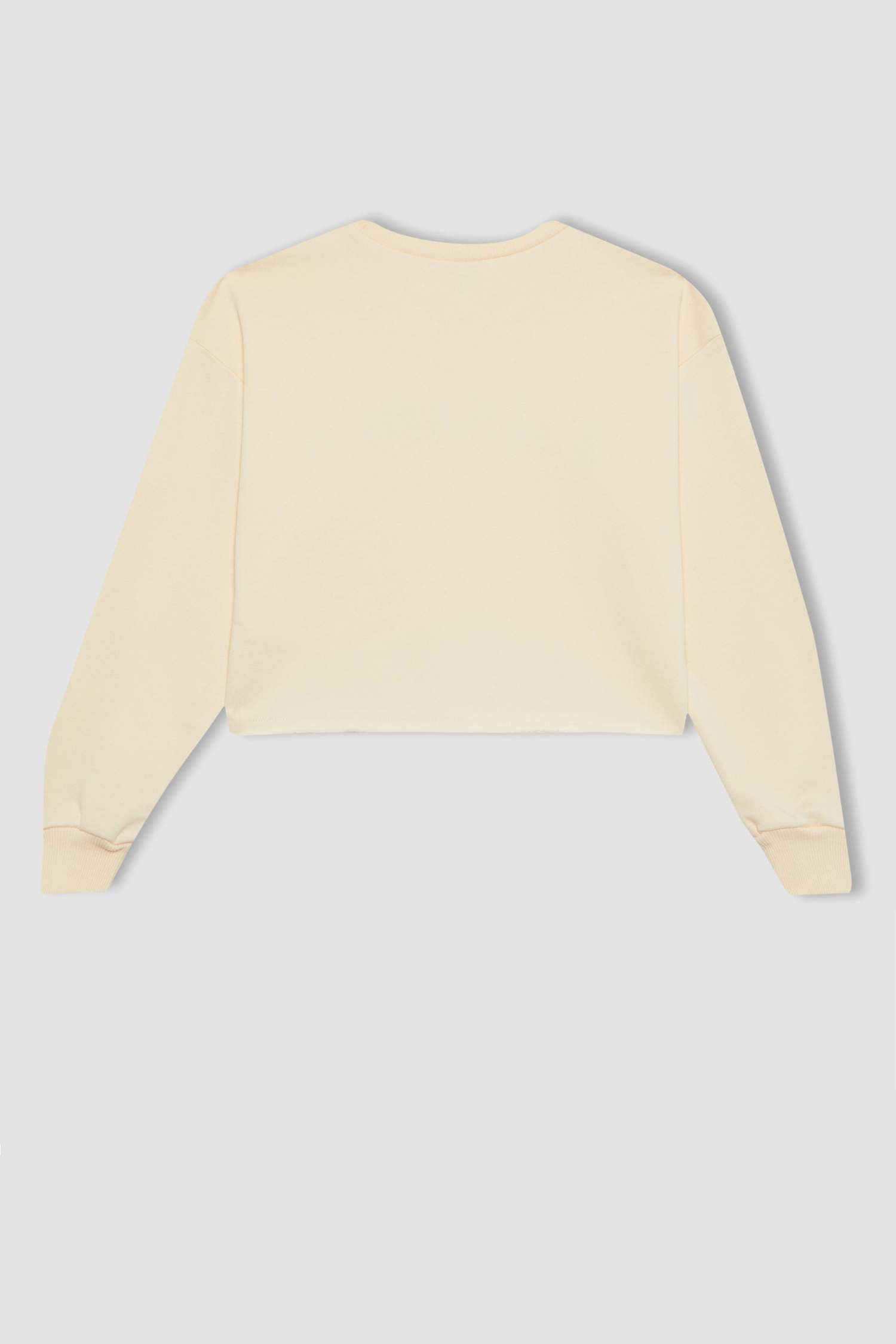 Girl Printed Crop Sweatshirt Undershirt 2 Piece Set