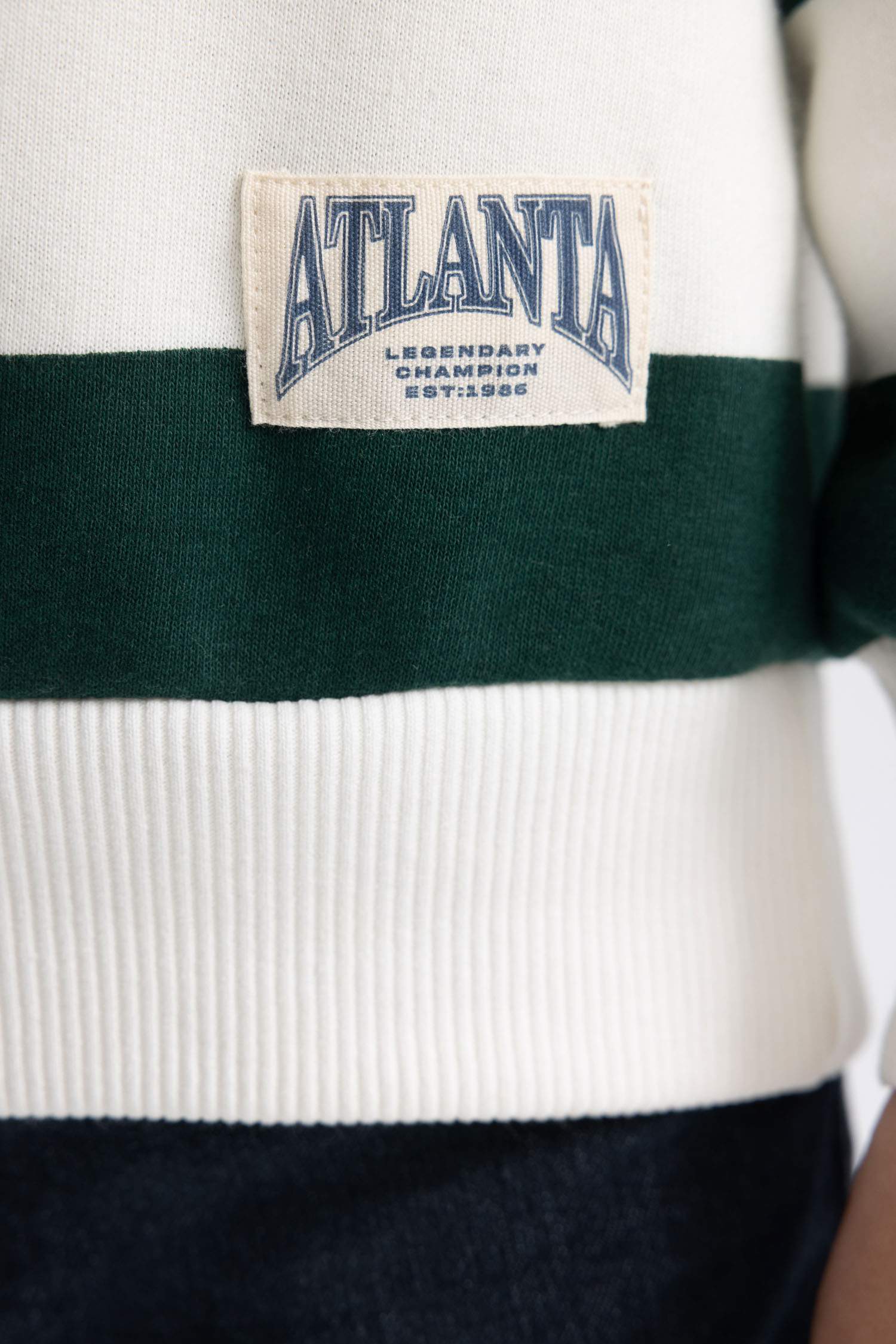 Regular Fit Crew Neck Sweatshirt