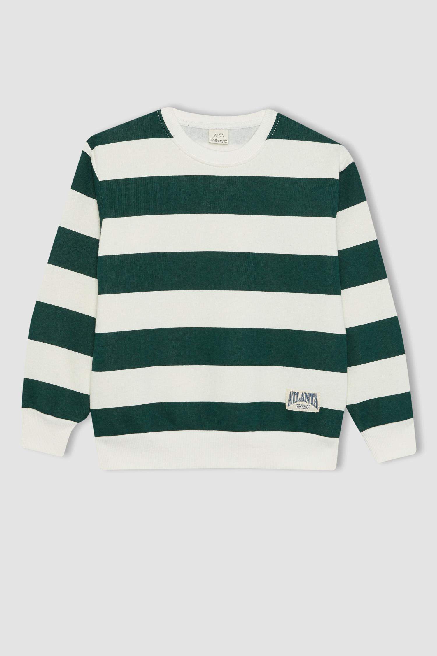 Regular Fit Crew Neck Sweatshirt