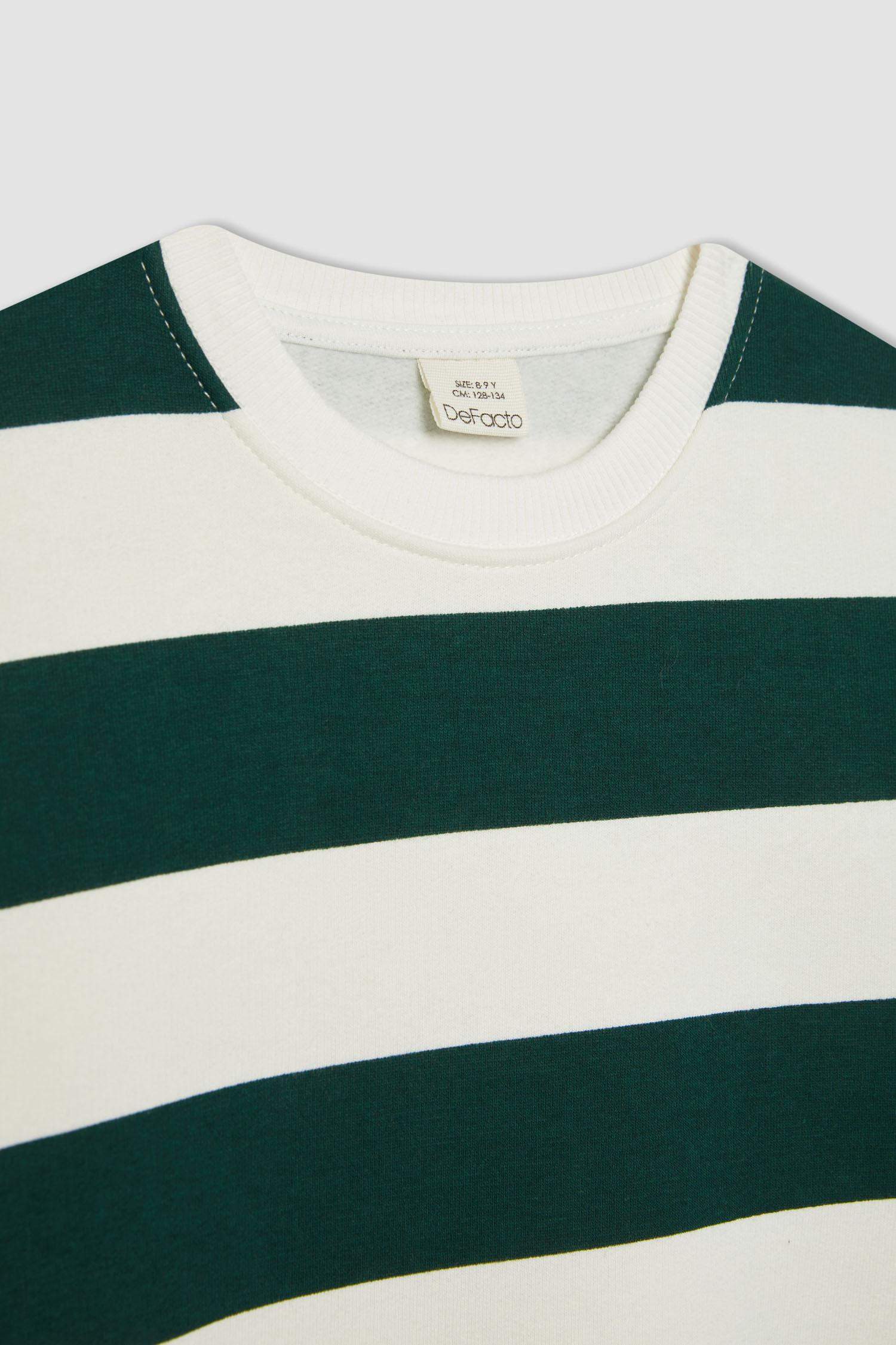 Regular Fit Crew Neck Sweatshirt