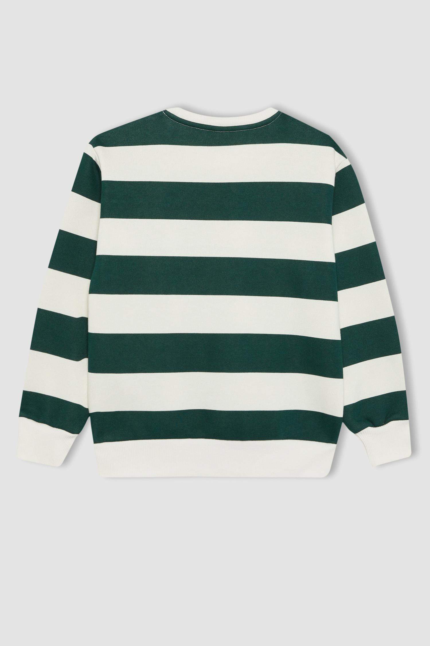 Regular Fit Crew Neck Sweatshirt