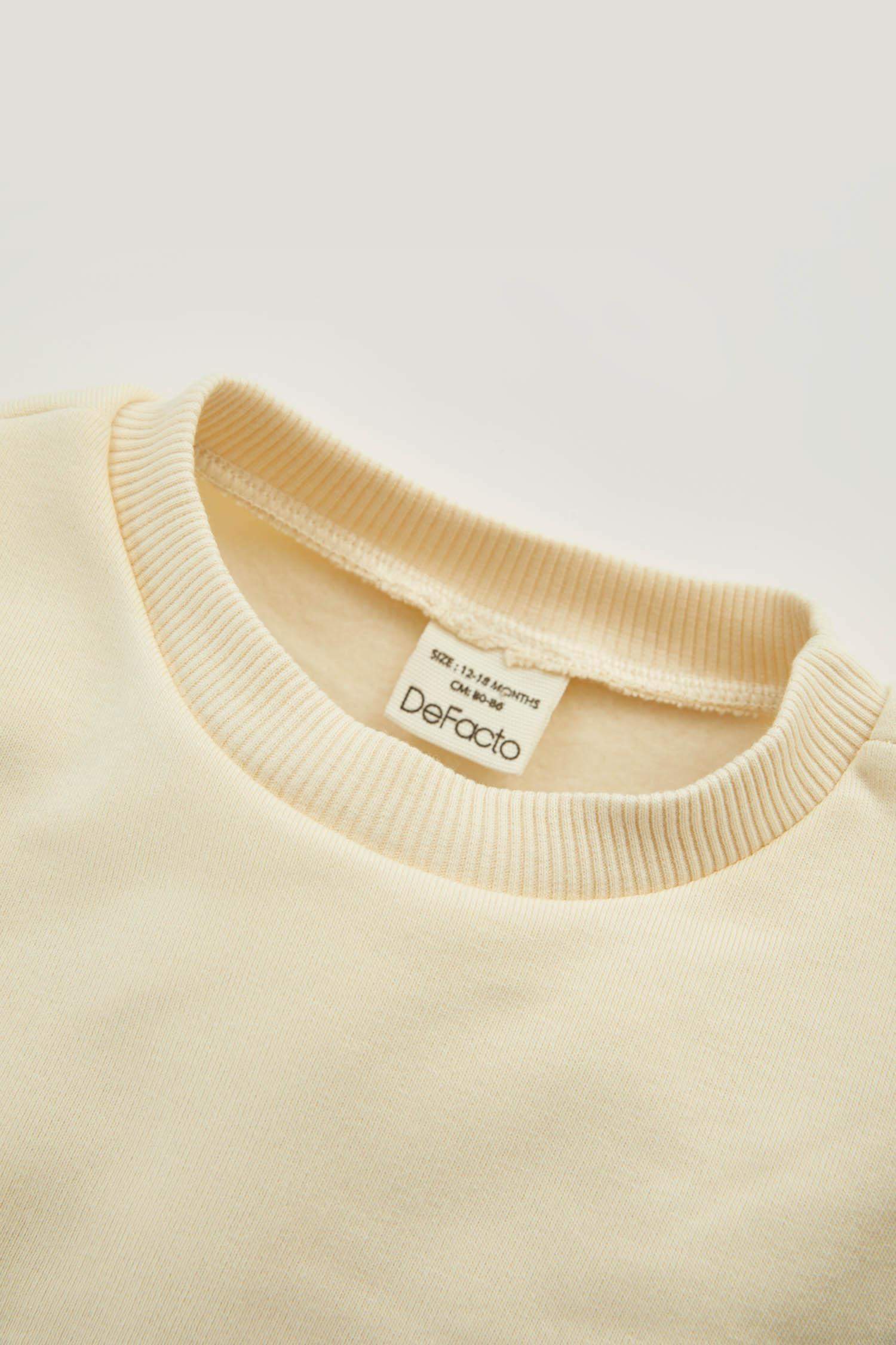 Baby Boy Long Sleeve T-Shirt Salopet 2 Piece Set