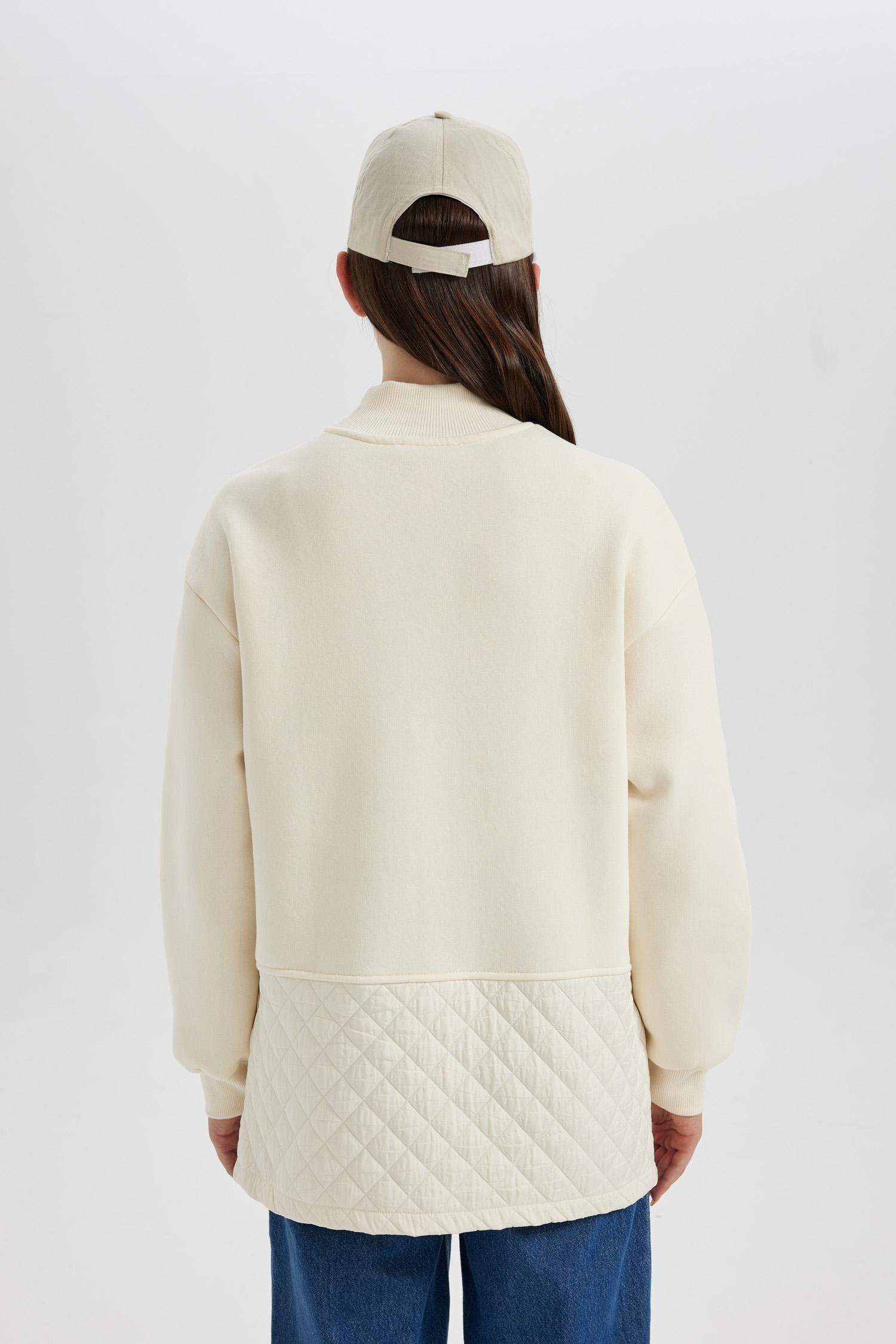 Regular Fit Half Turtleneck Thick Sweatshirt Tunic