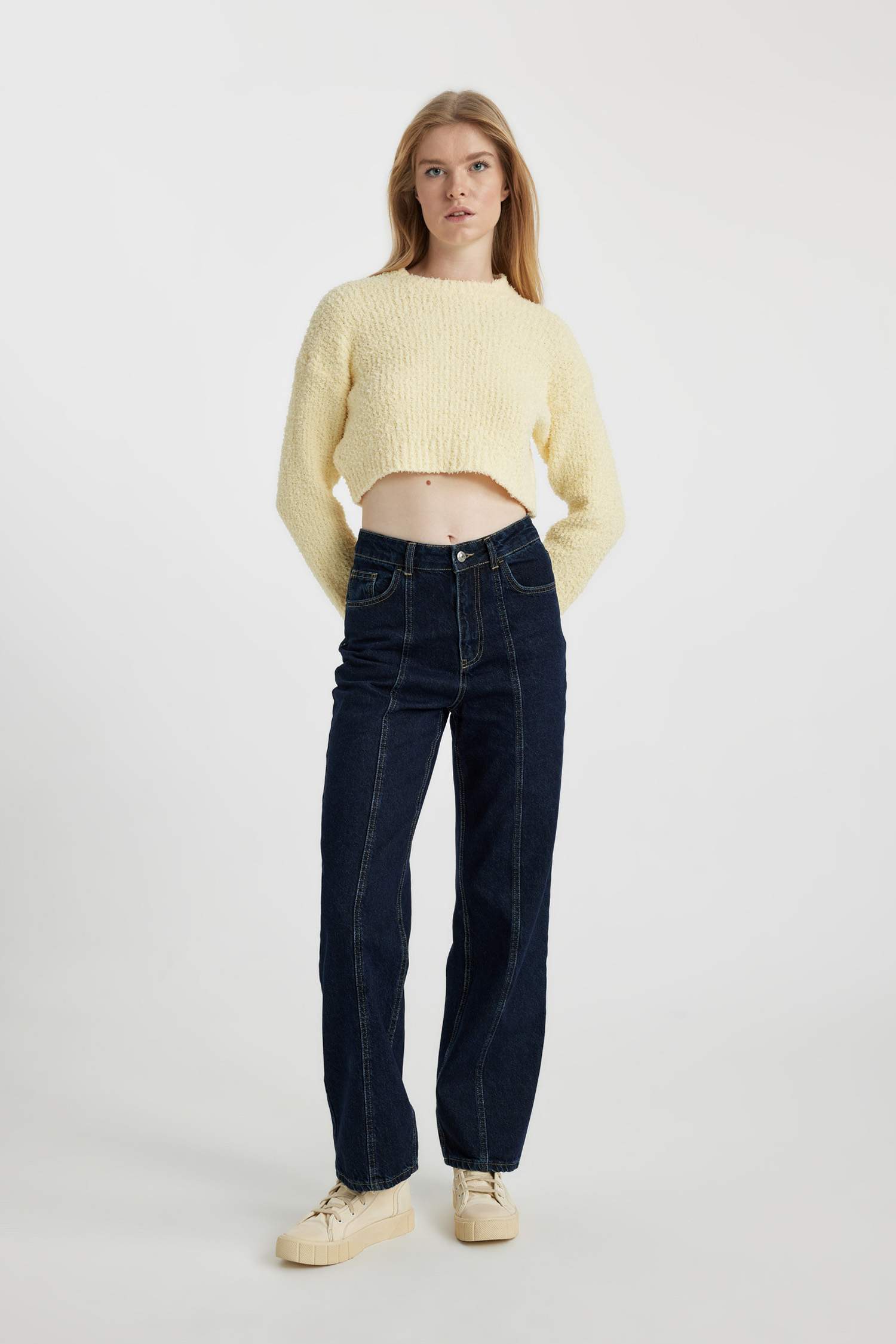 Regular Fit Crew Neck Knitted Pullover