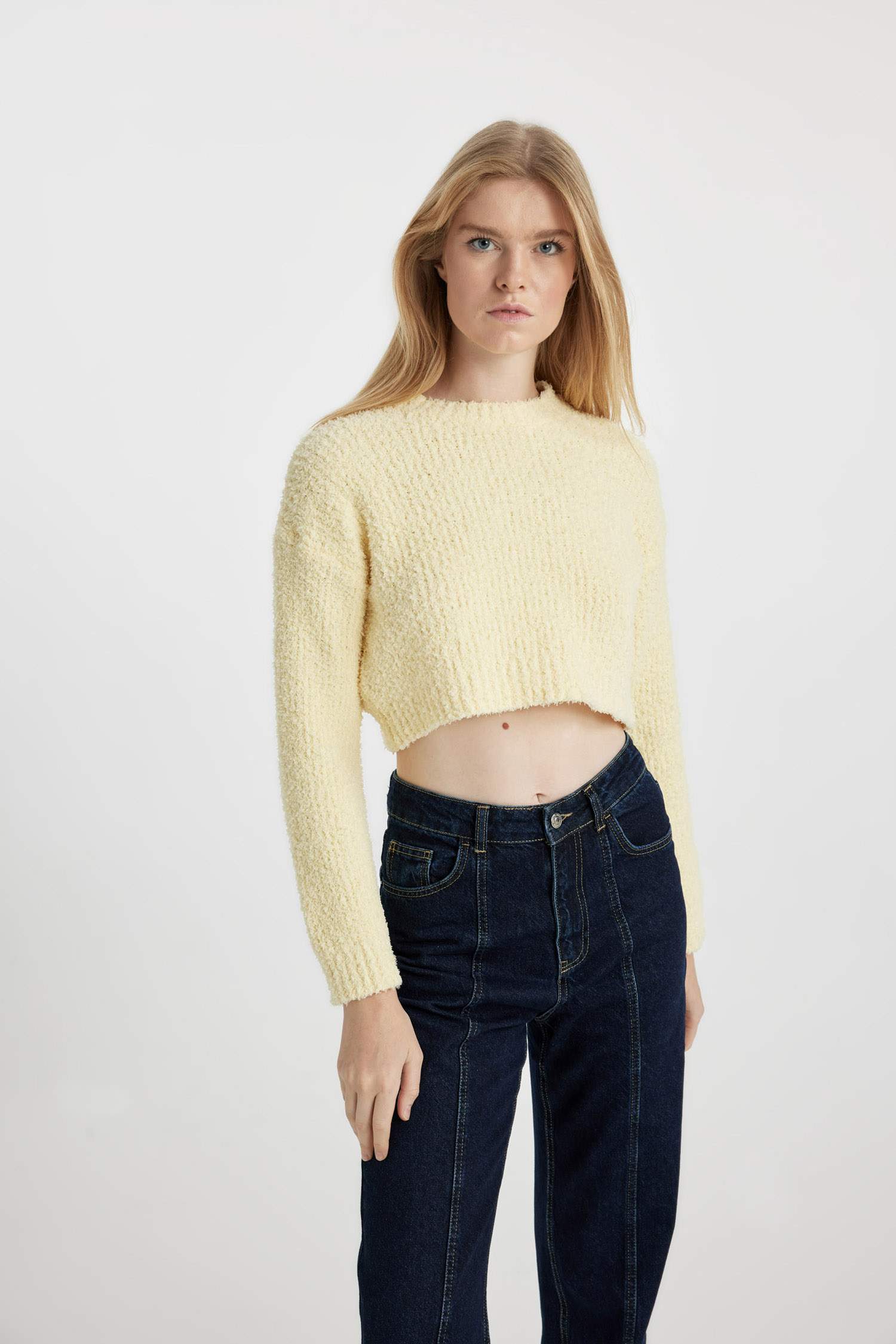 Regular Fit Crew Neck Knitted Pullover