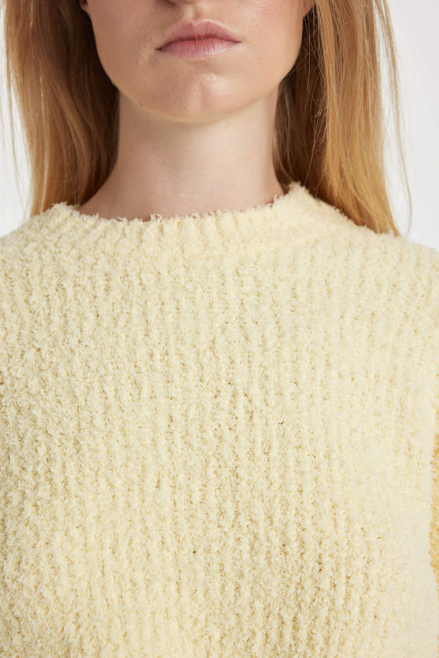 Regular Fit Crew Neck Knitted Pullover