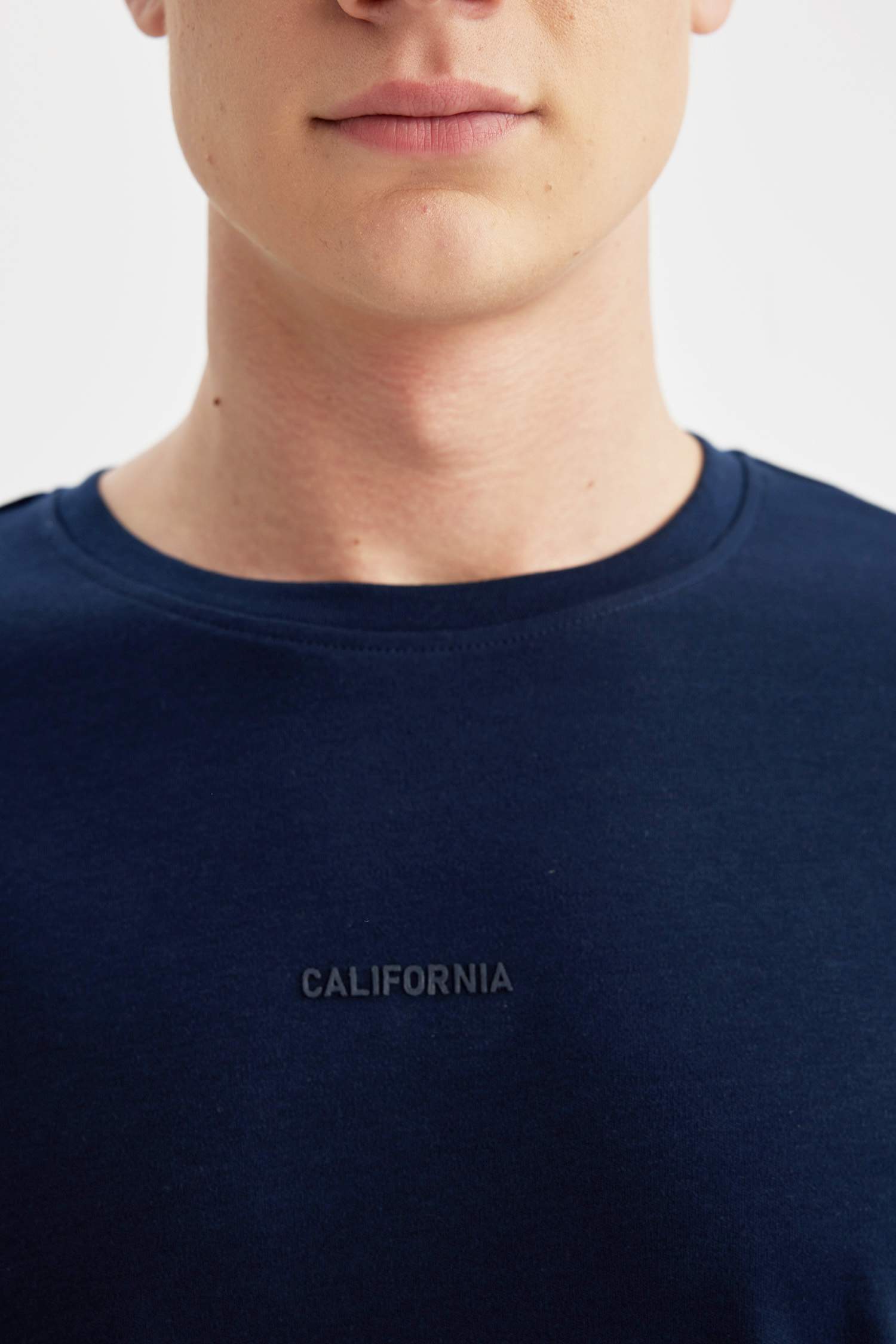 Regular Fit Bisiklet Yaka Baskılı Kısa Kollu Ağır Kumaş Tişört