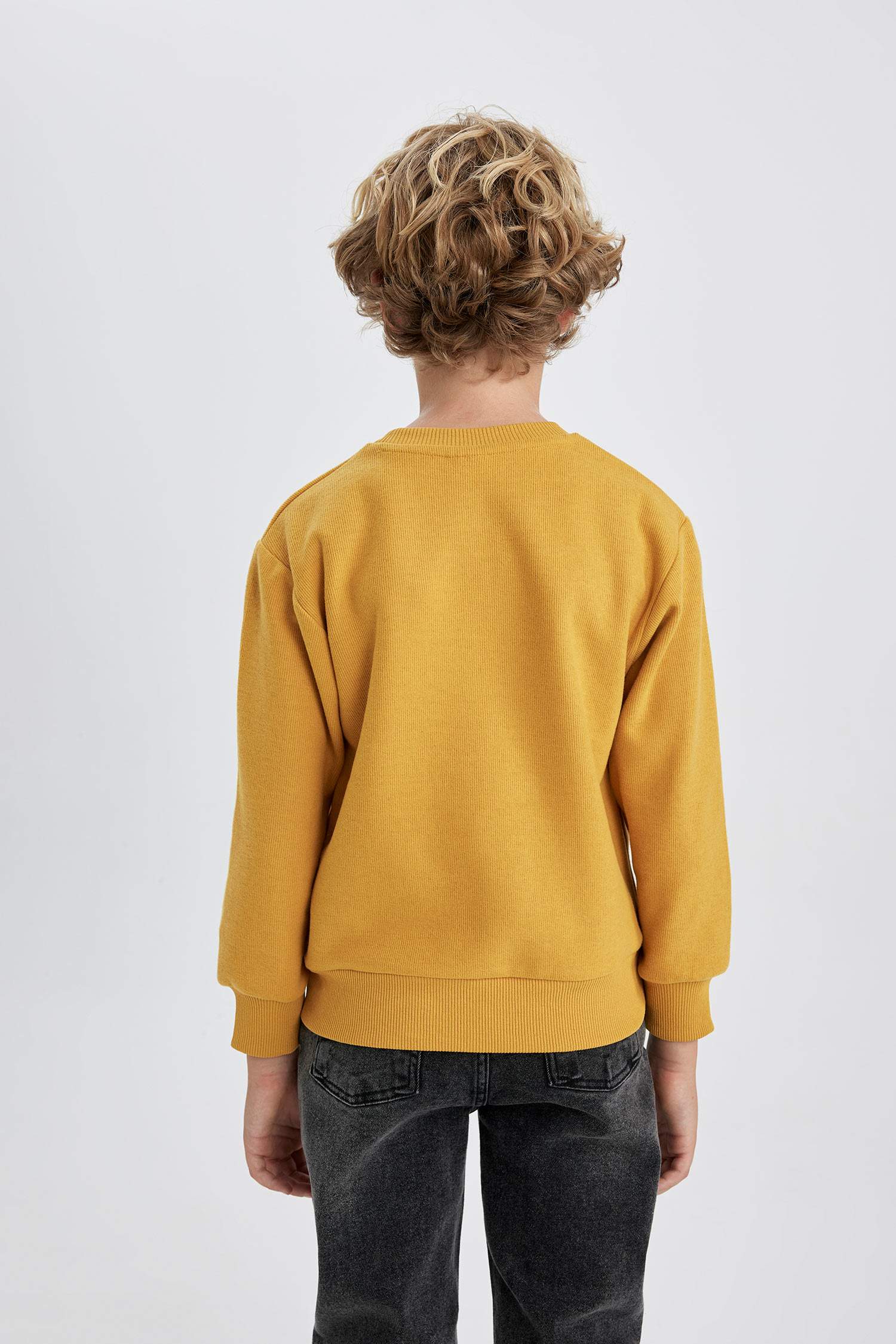 Свитшот стандартного кроя с круглым вырезом для мальчиков