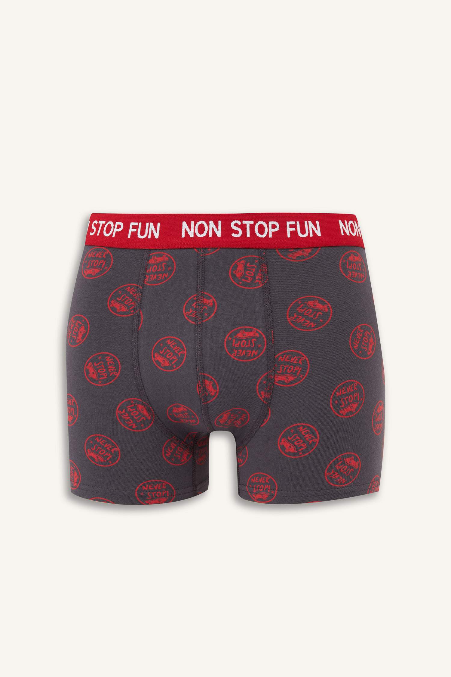 Regular Fit Patterned 3 Piece Boxers