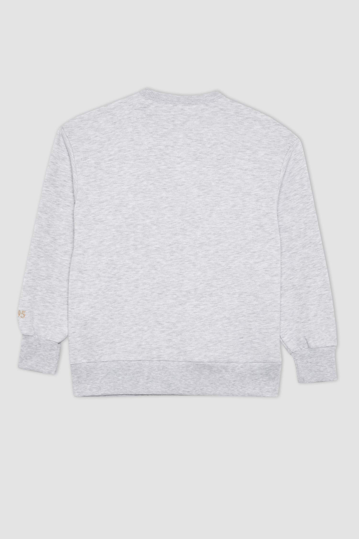 Girl Crew Neck Printed Thick Sweatshirt