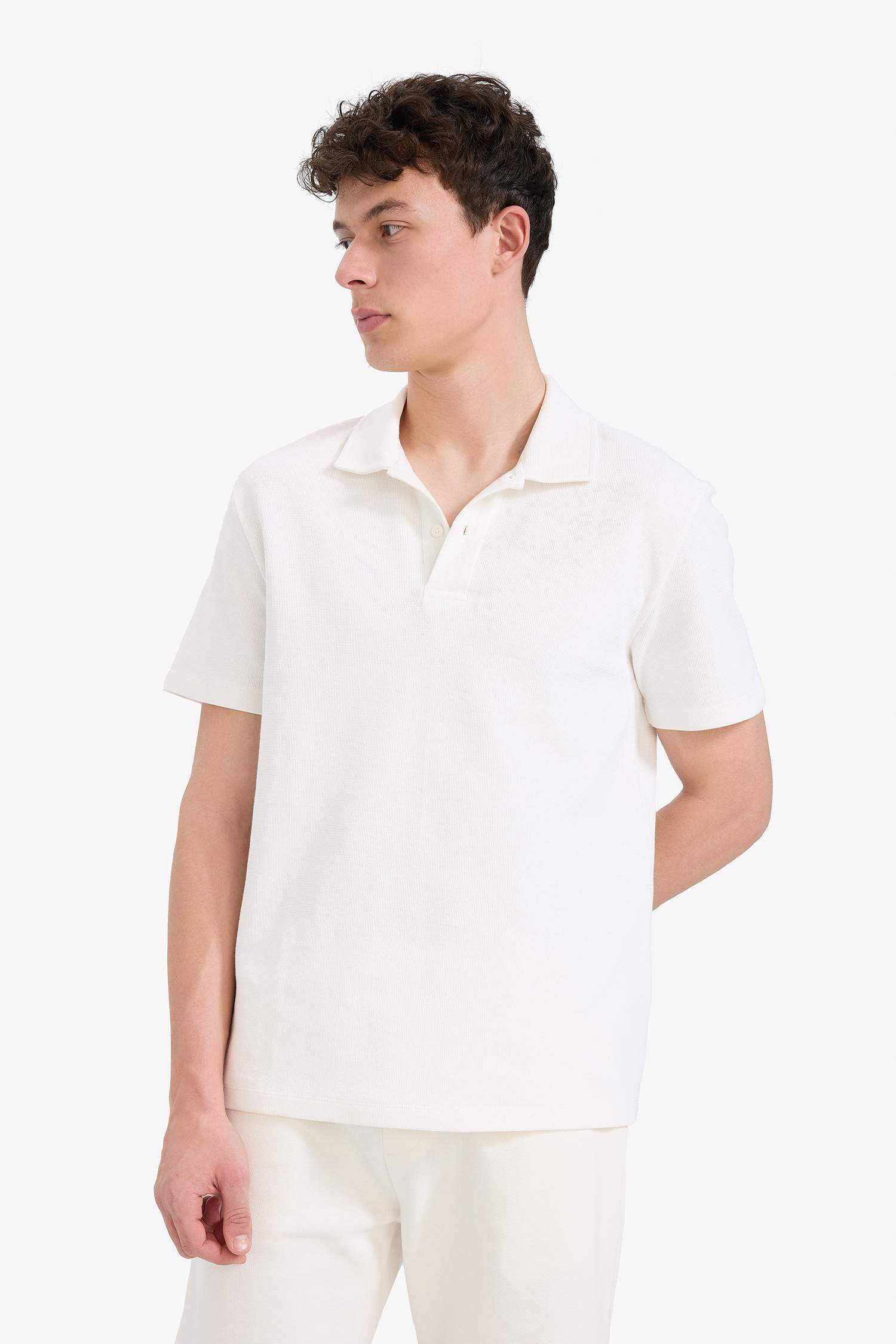 Regular Fit Polo Yaka Dokulu Basic Düz Kısa Kollu Tişört