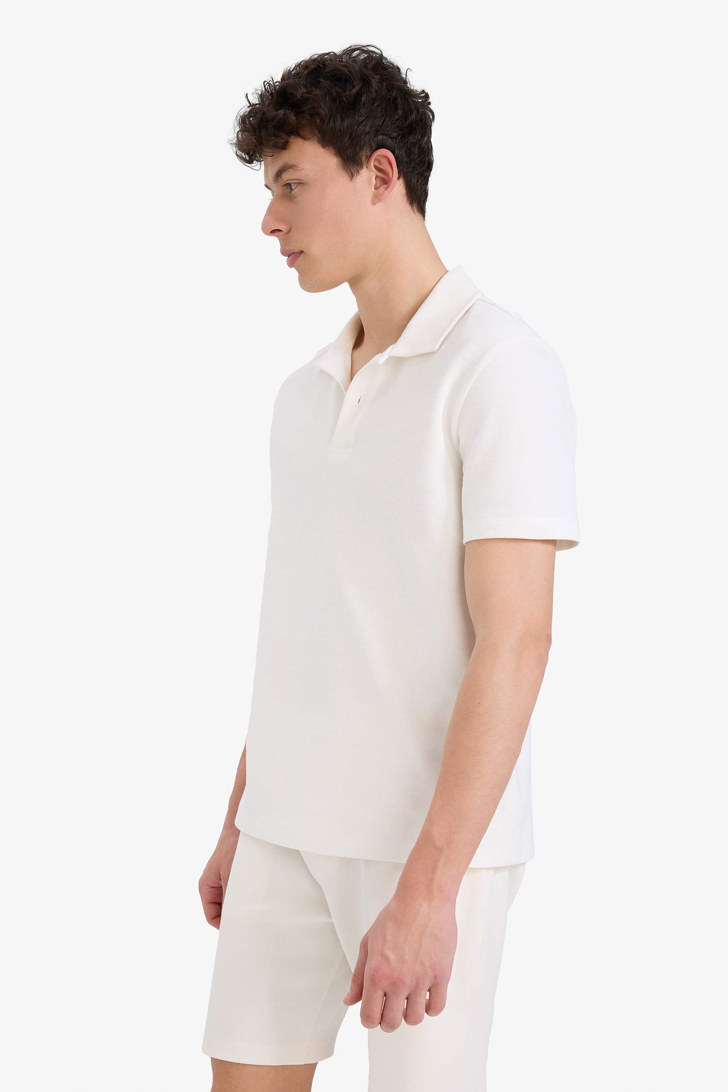 Regular Fit Polo Yaka Dokulu Basic Düz Kısa Kollu Tişört