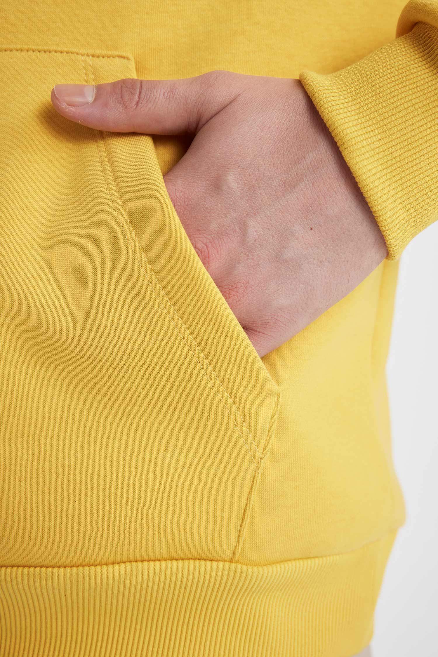 Regular Fit Hooded Printed Sweatshirt