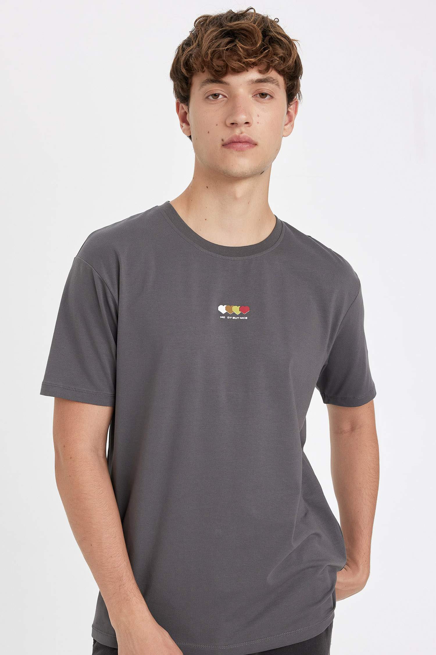 Regular Fit Crew Neck Printed Short Sleeve T-Shirt