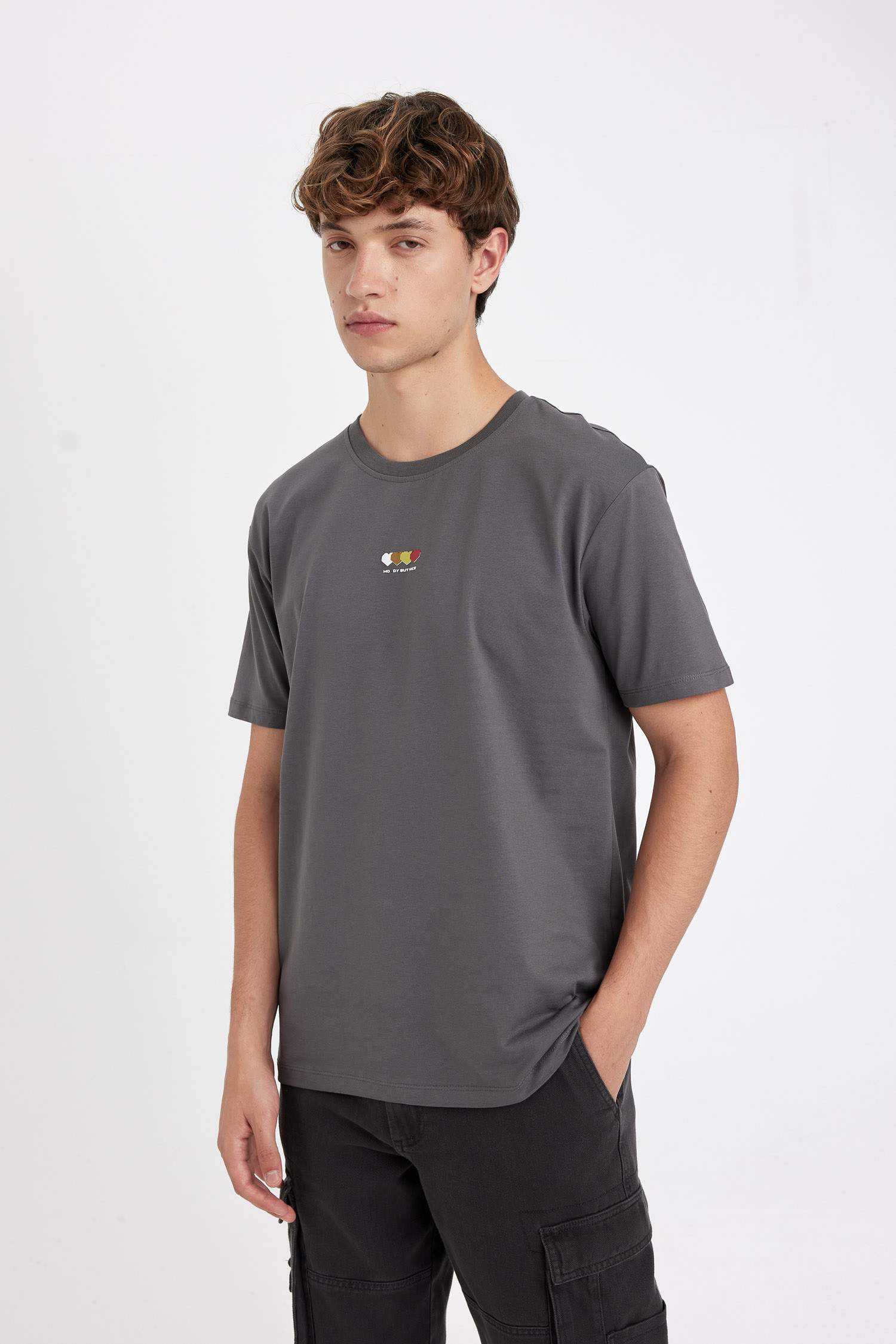 Regular Fit Crew Neck Printed Short Sleeve T-Shirt