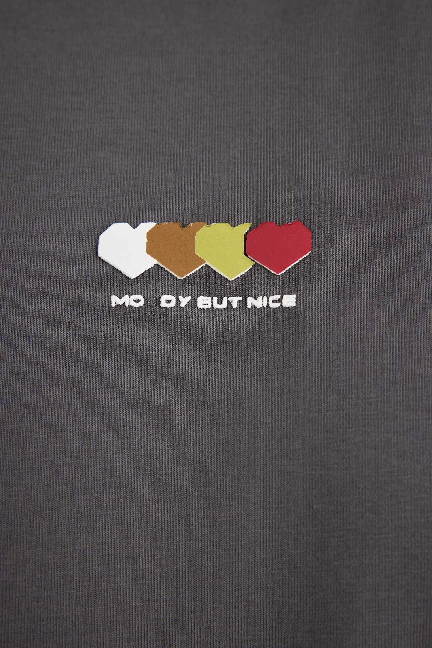 Regular Fit Crew Neck Printed Short Sleeve T-Shirt