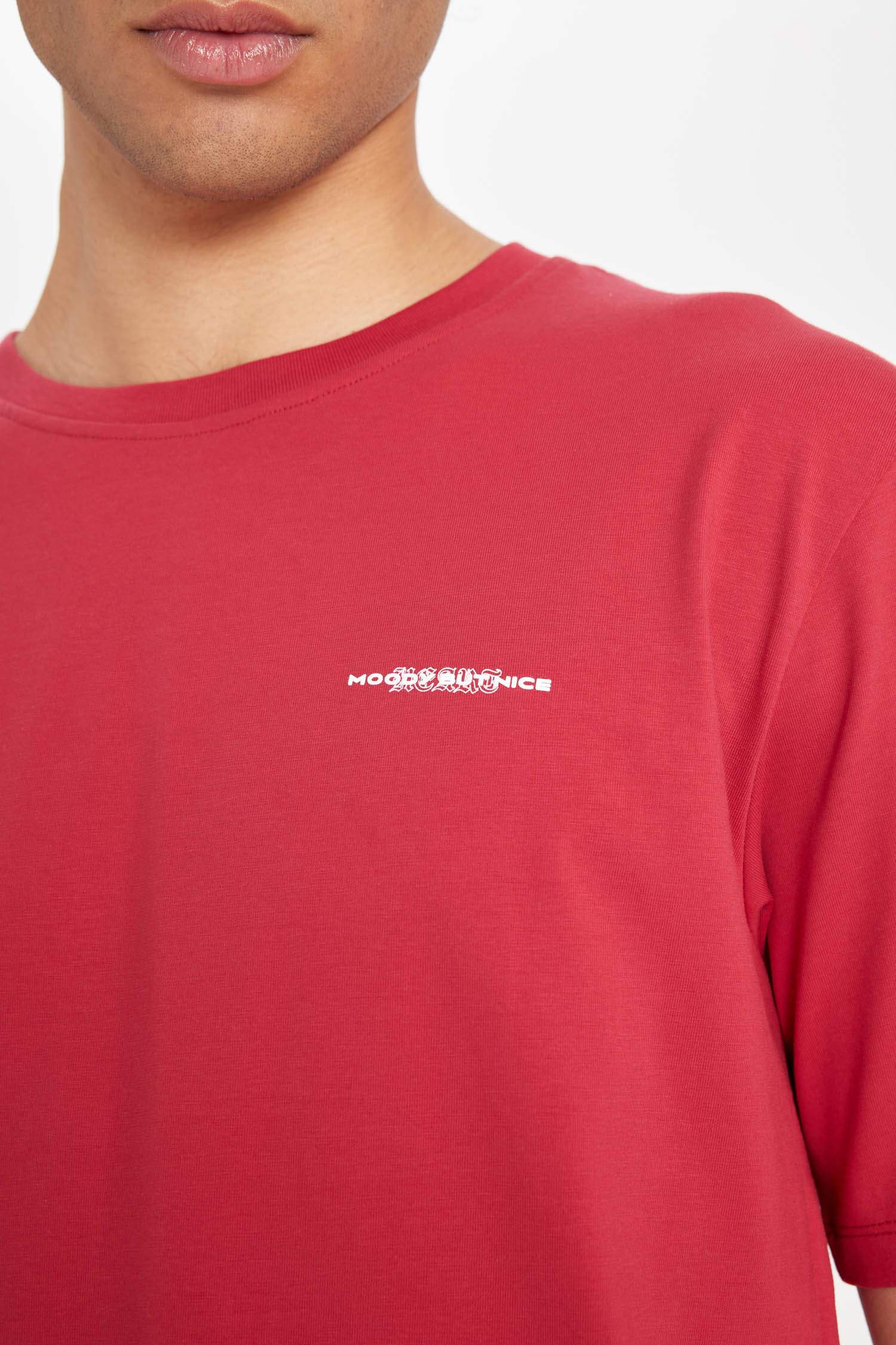 تيشيرت نص ردن مطبوع بياخة مستديرة وقصة عادية