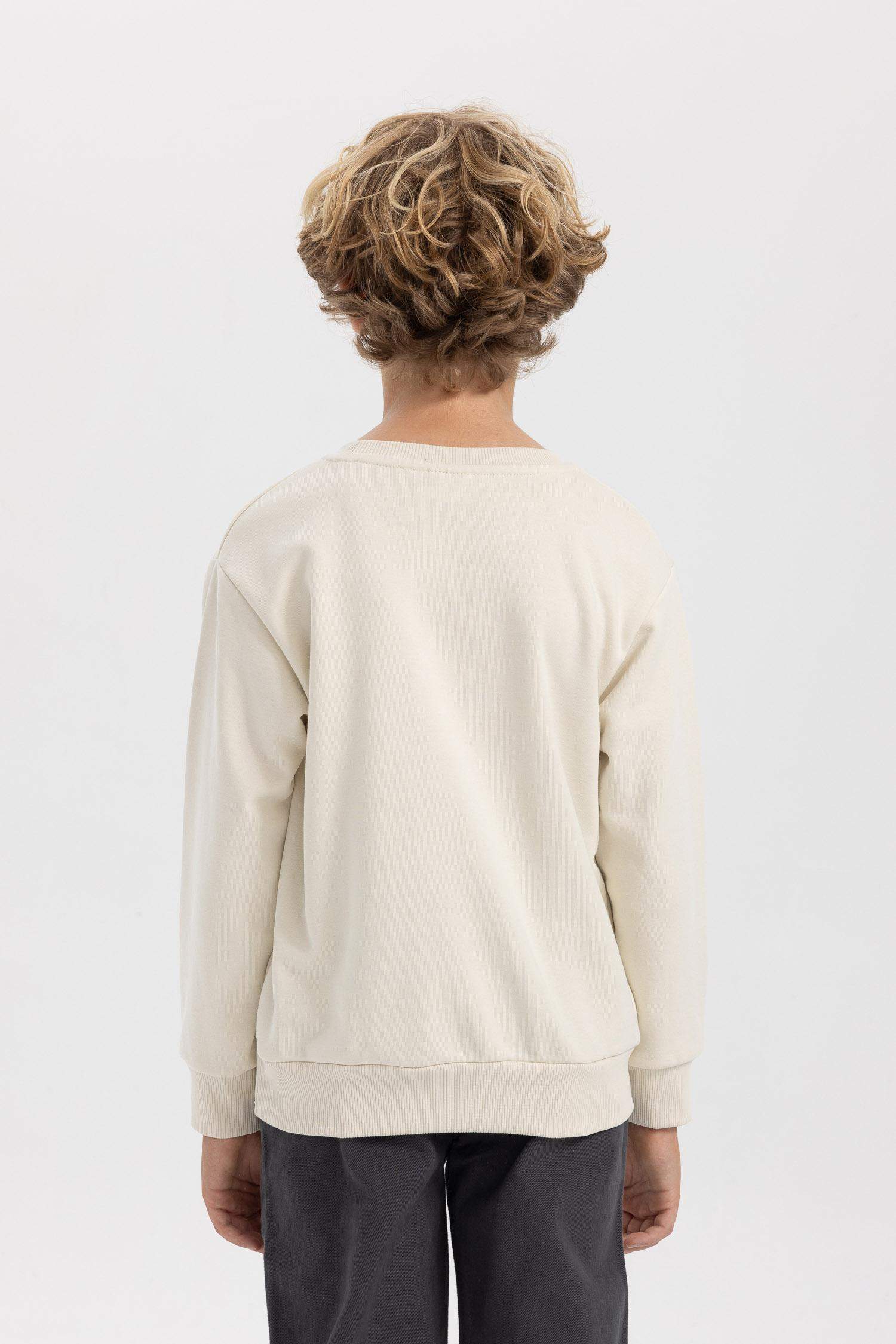Boy Crew Neck Pocket Printed Sweatshirt